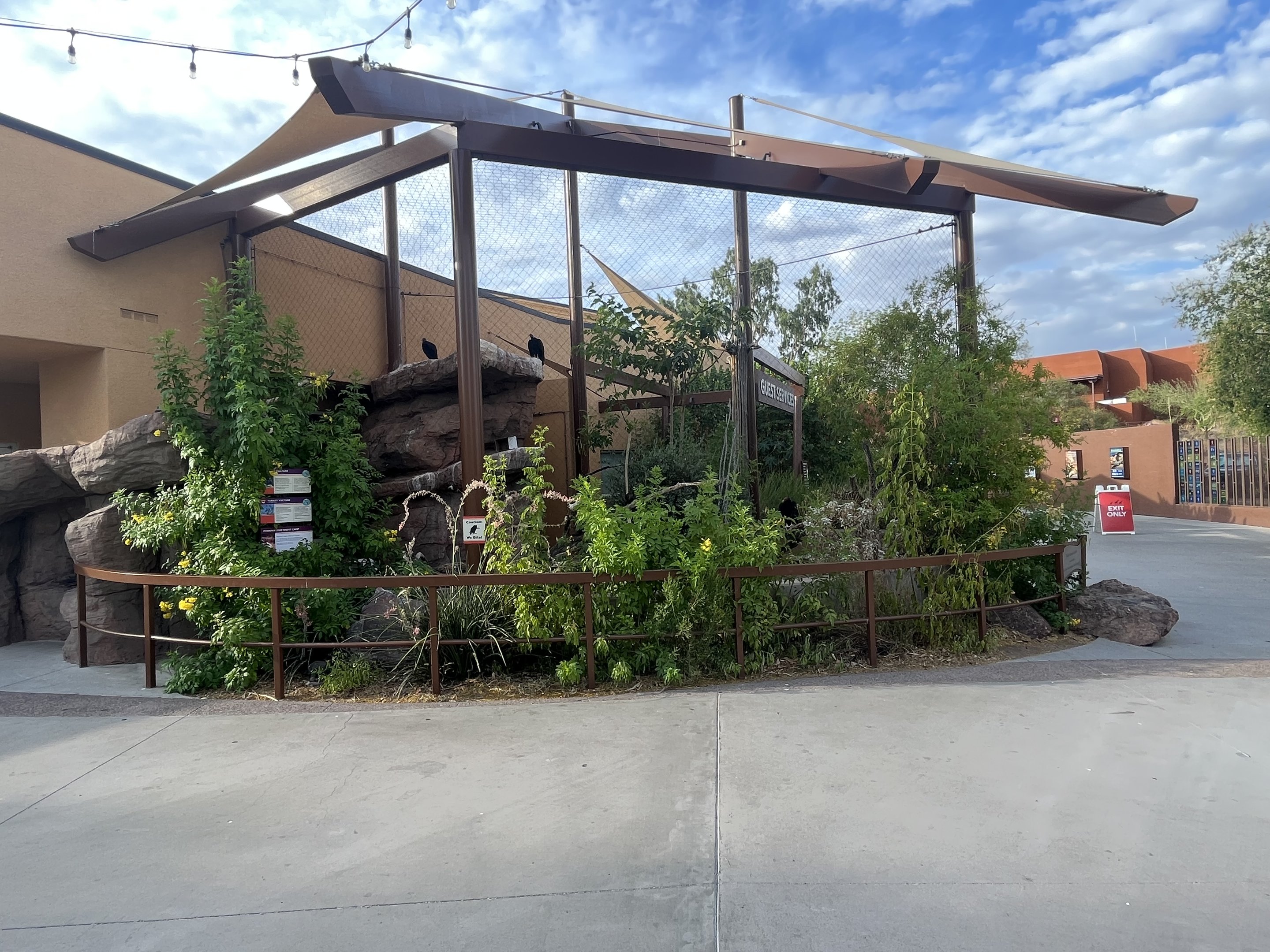 Turkey + Black Vulture Aviary