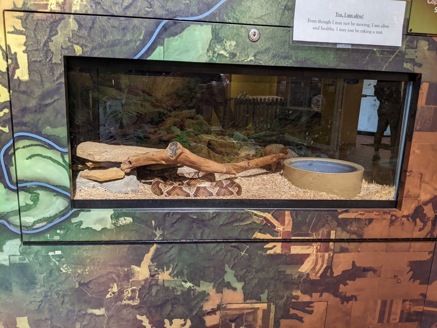 Turkey Run State Park Nature Center - Copperhead Tank