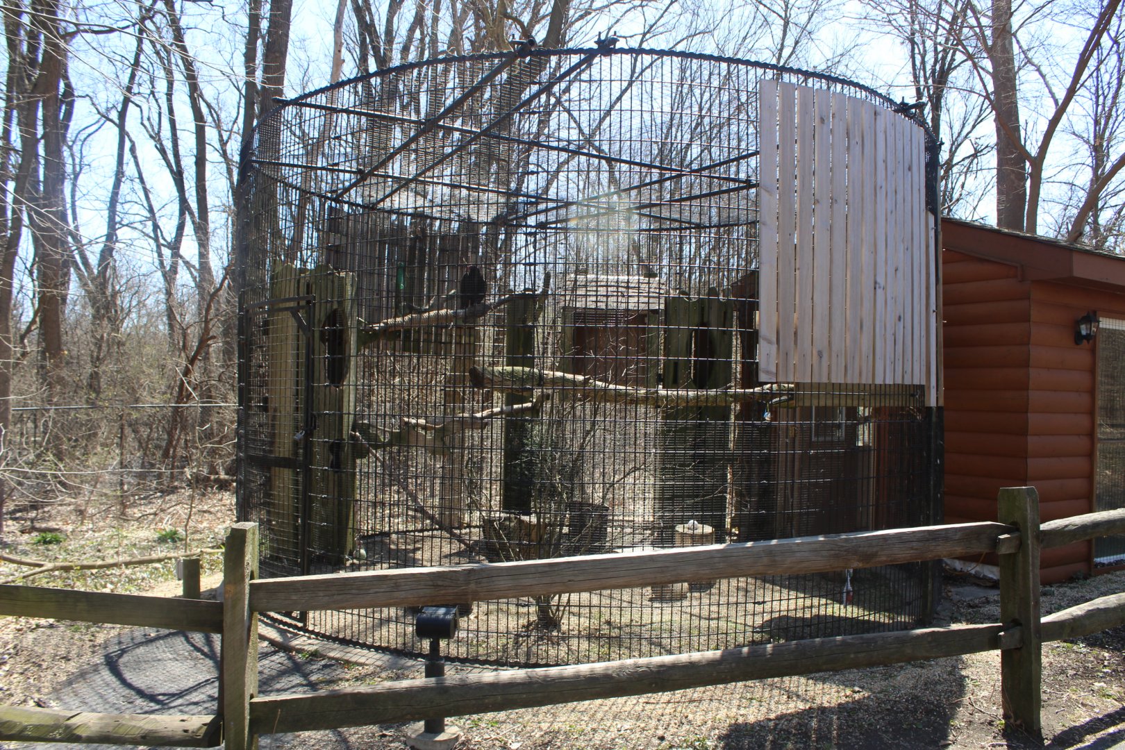 Turkey Vulture Avairy