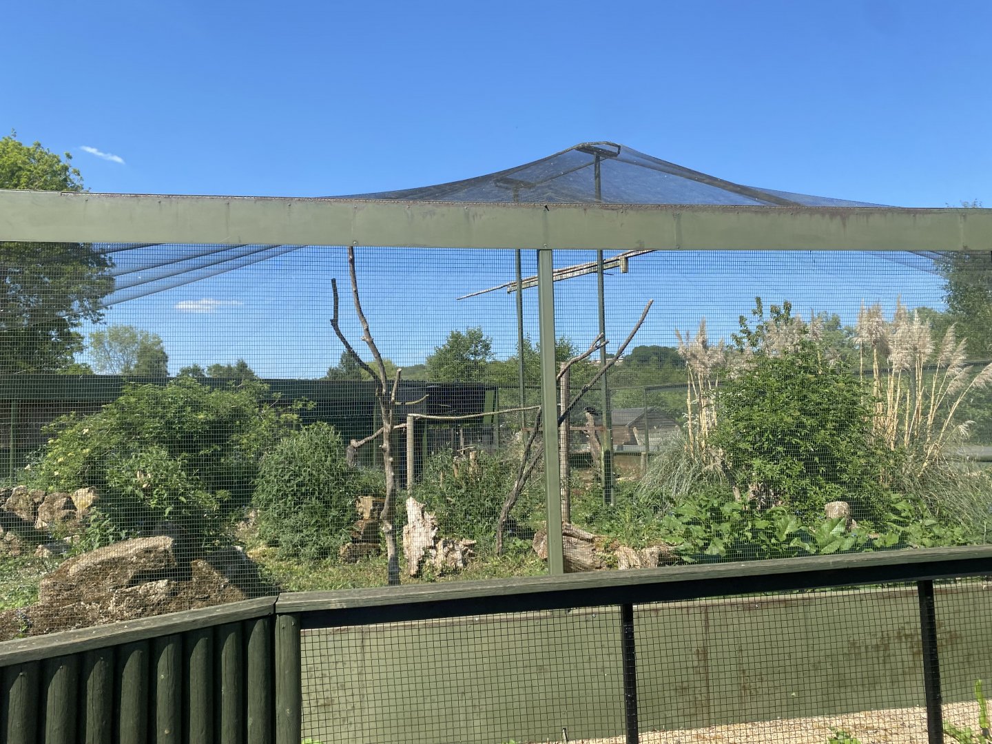 Turkey vulture aviary 090525