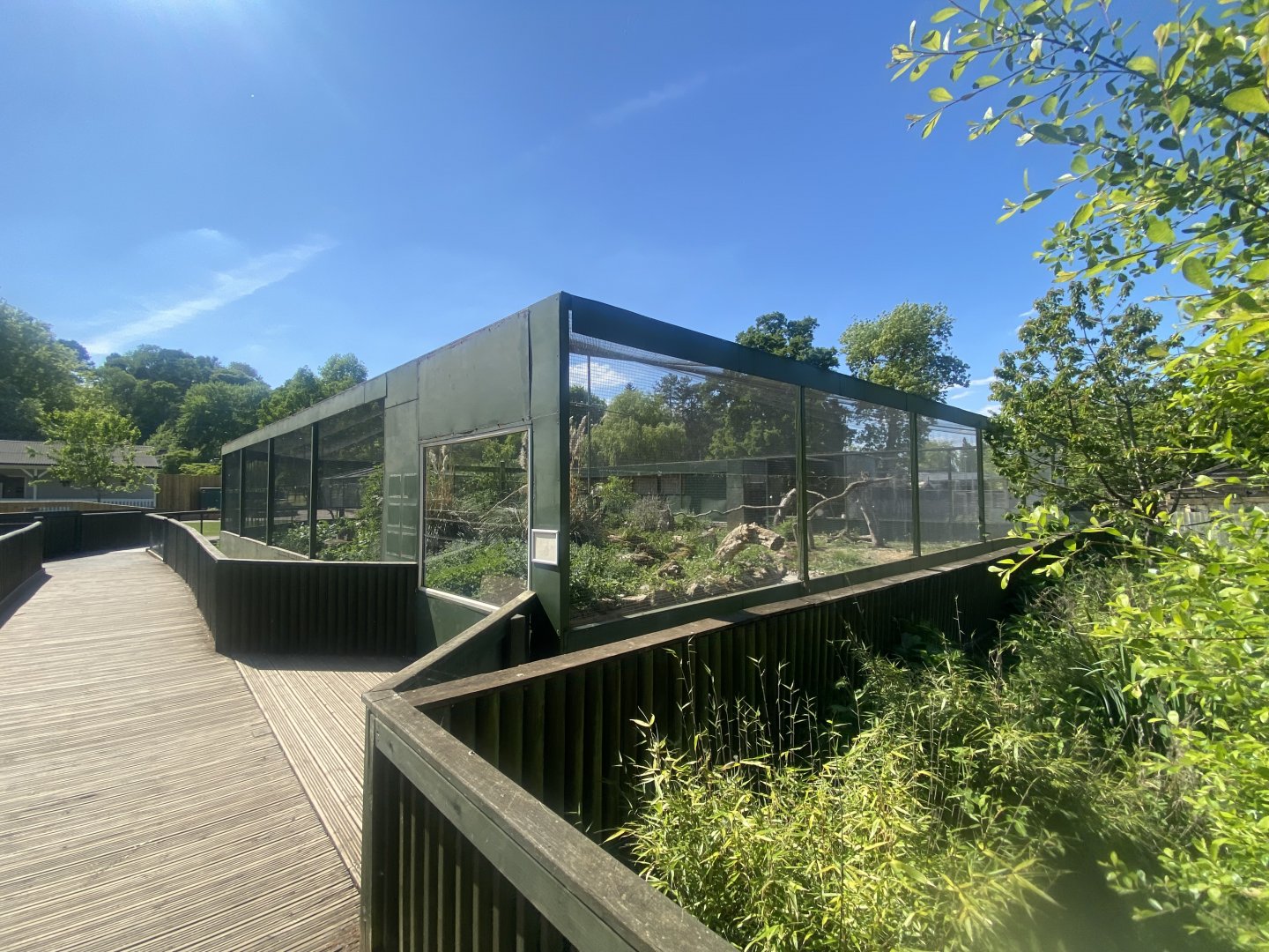 Turkey vulture aviary 090525