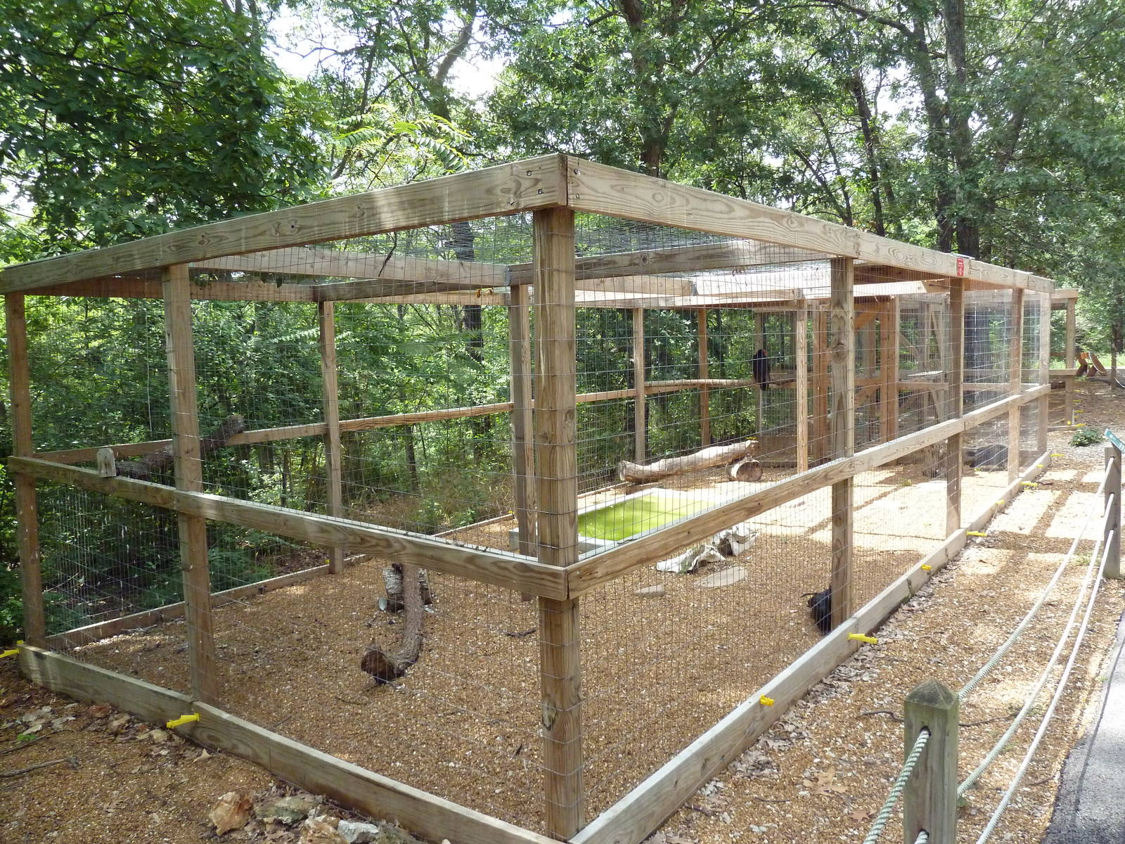 Turkey Vulture Aviary