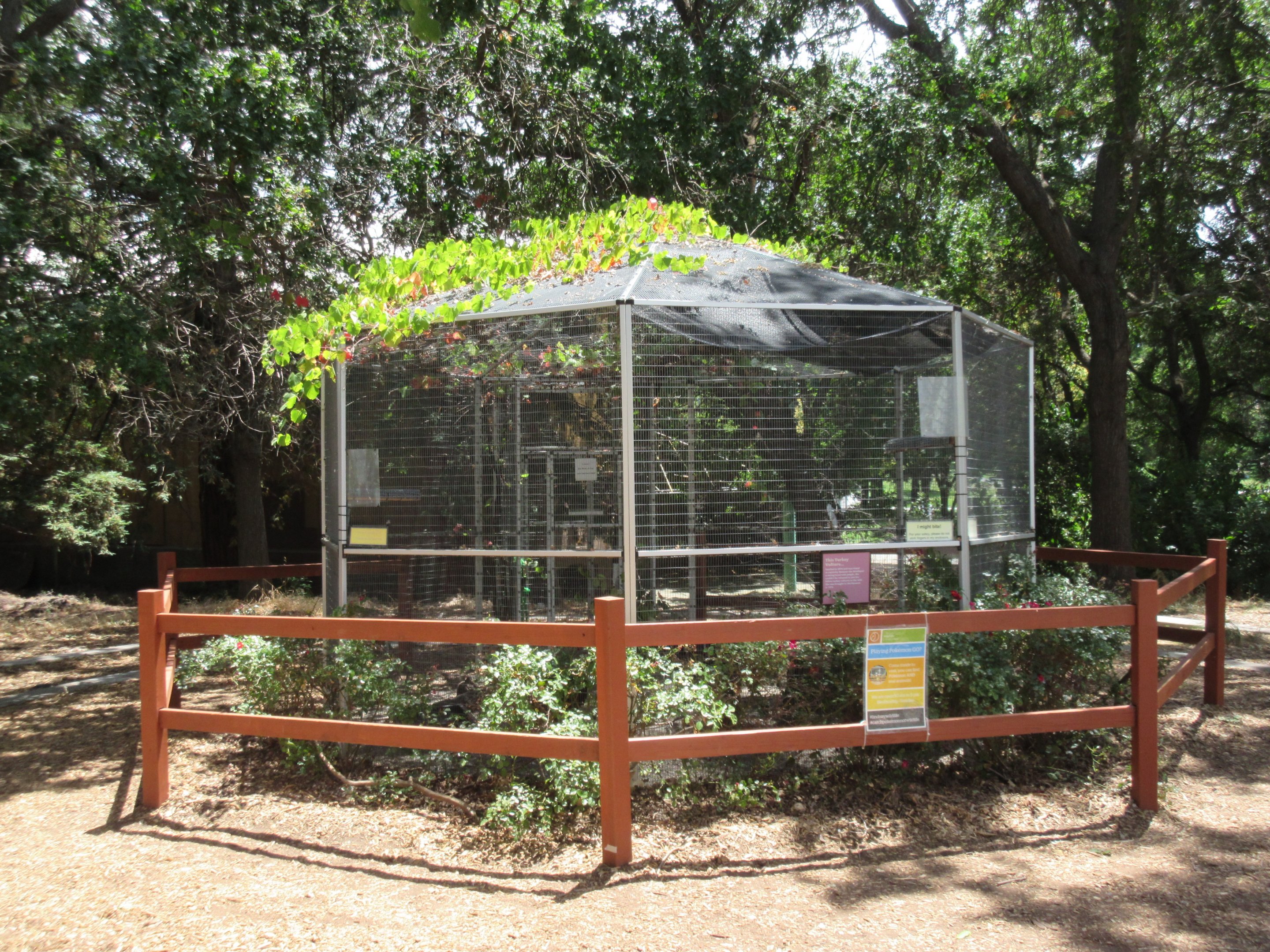 Turkey Vulture Aviary