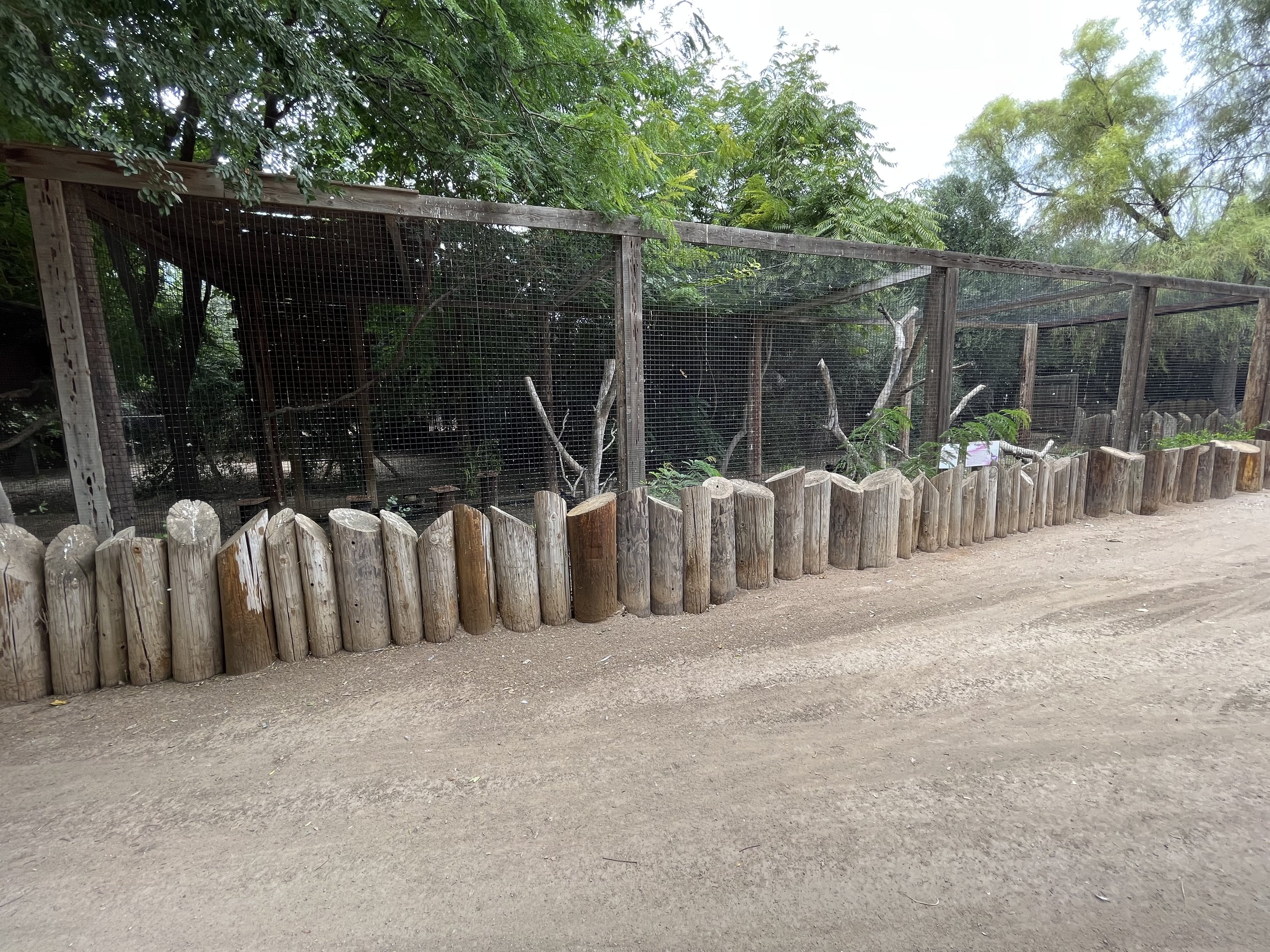 Turkey Vulture Aviary