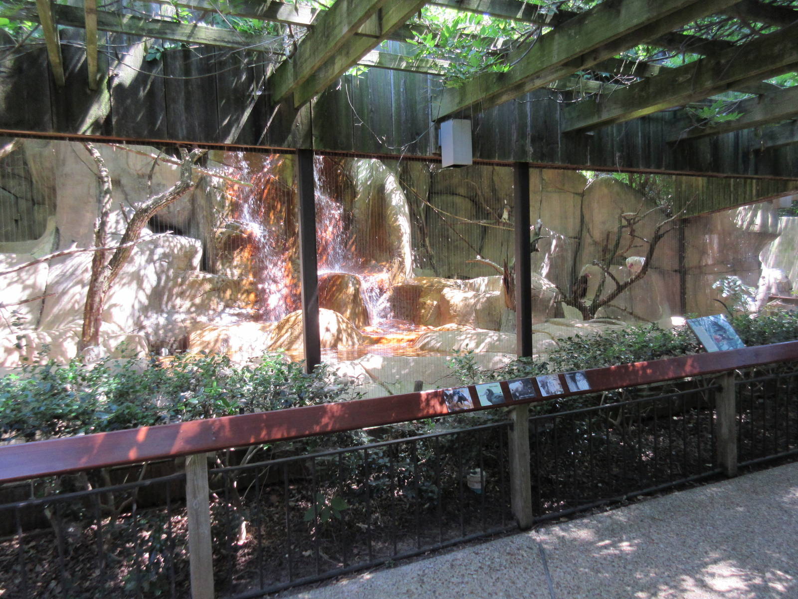 Turkey Vulture/Black Vulture/Barred Owl/Great Horned Owl Exhibit