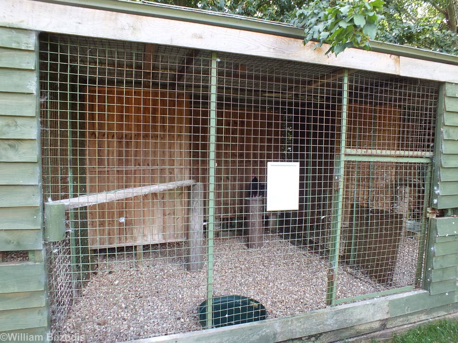 Turkey Vulture Enclosure