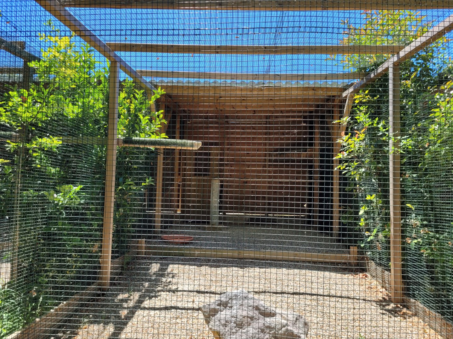 Turkey vulture exhibit -Sendaviva (2024)