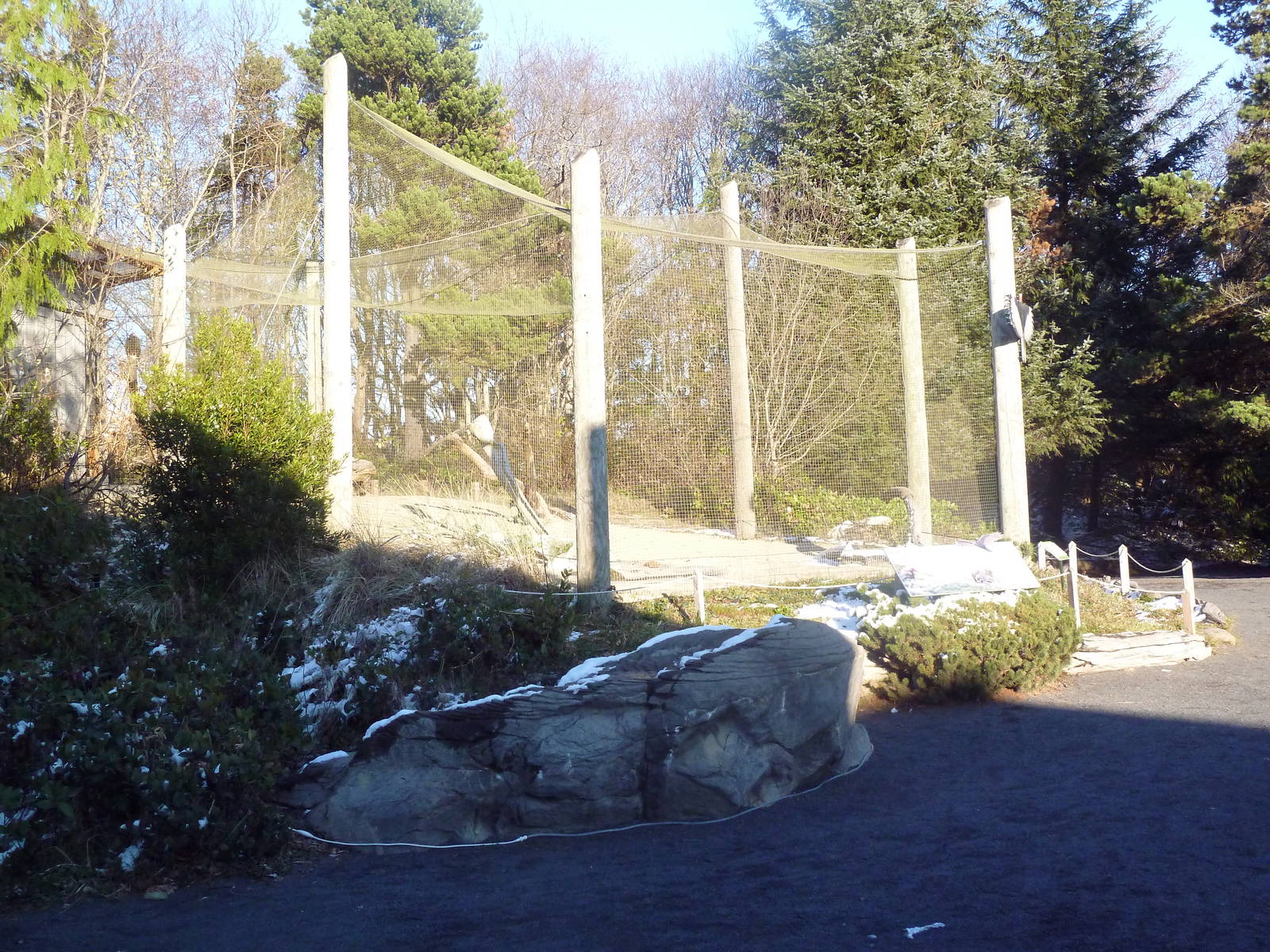 Turkey Vulture Exhibit