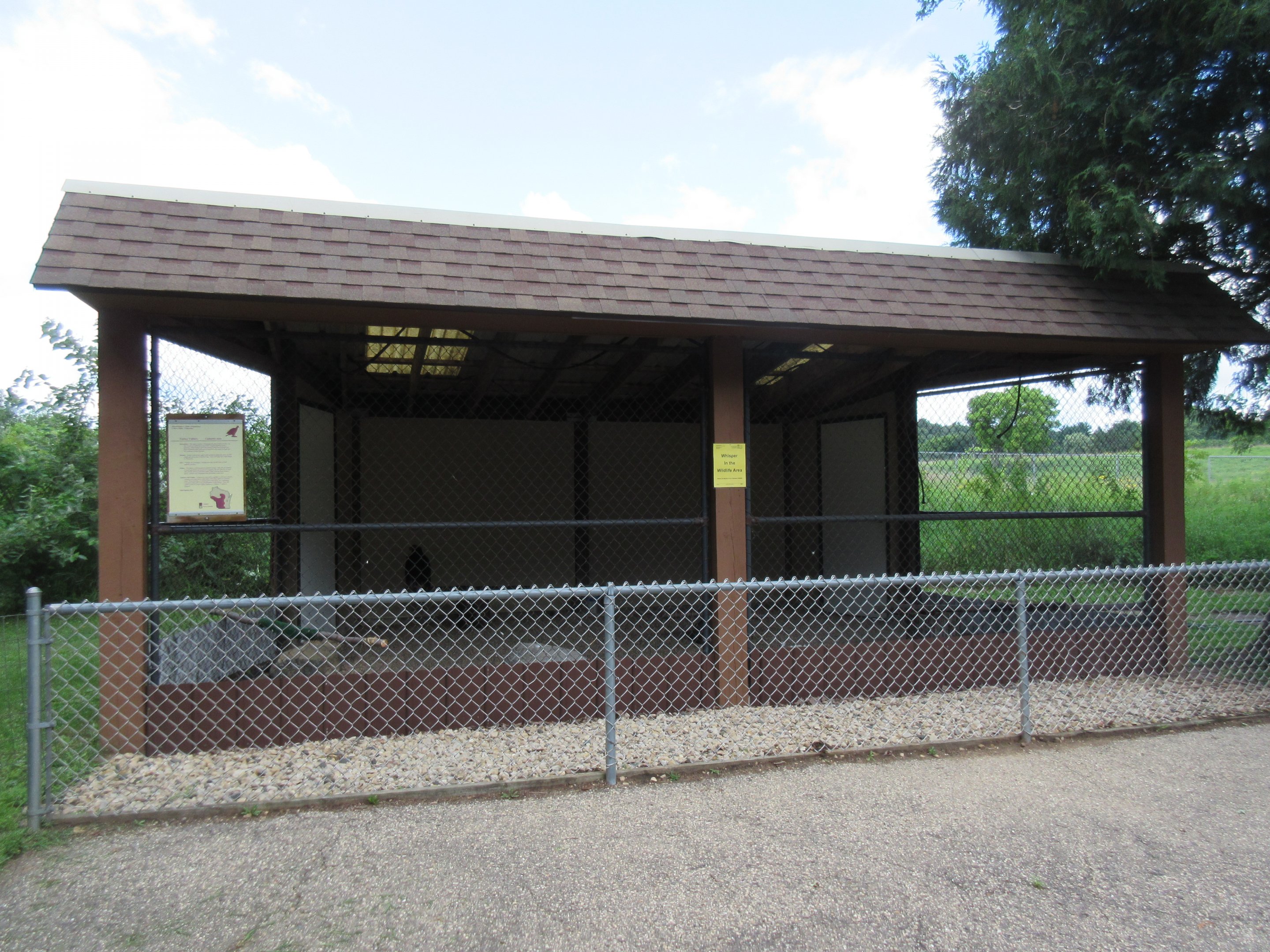 Turkey Vulture Exhibit