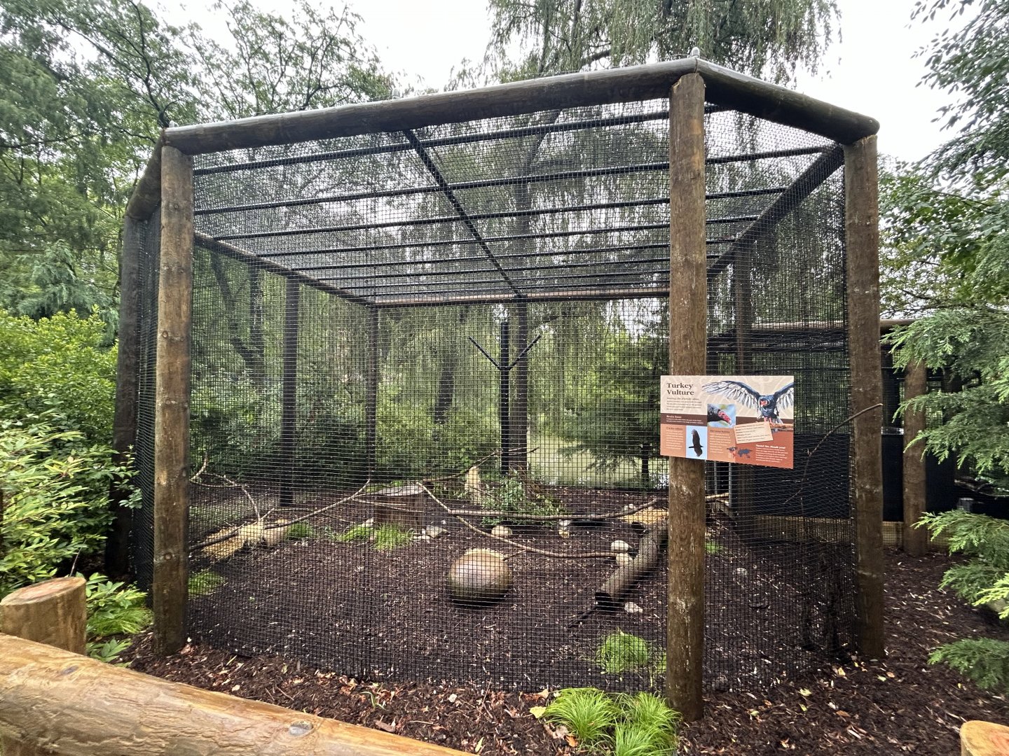 Turkey Vulture Exhibit