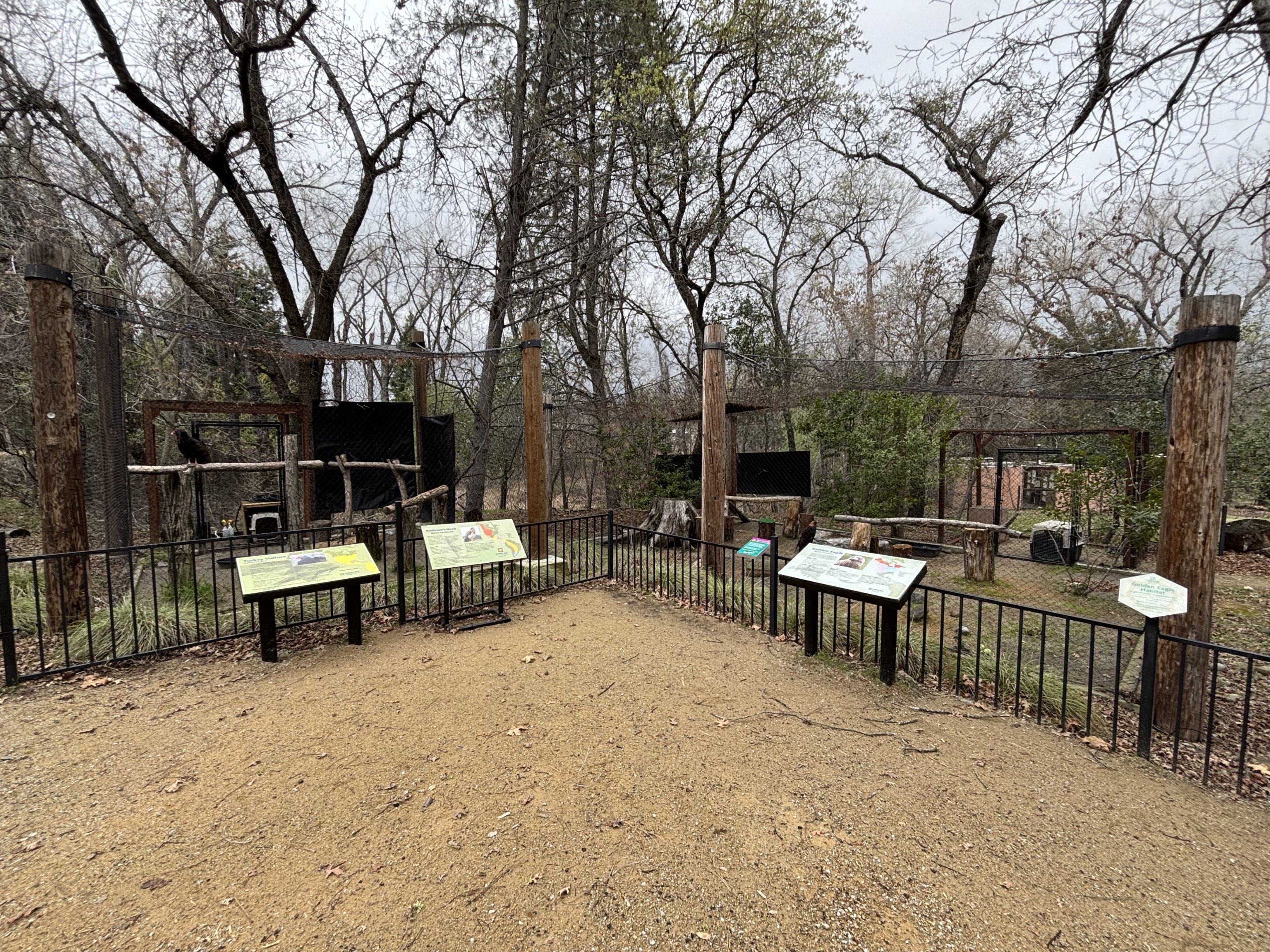 Turkey Vulture + Golden Eagle Aviaries