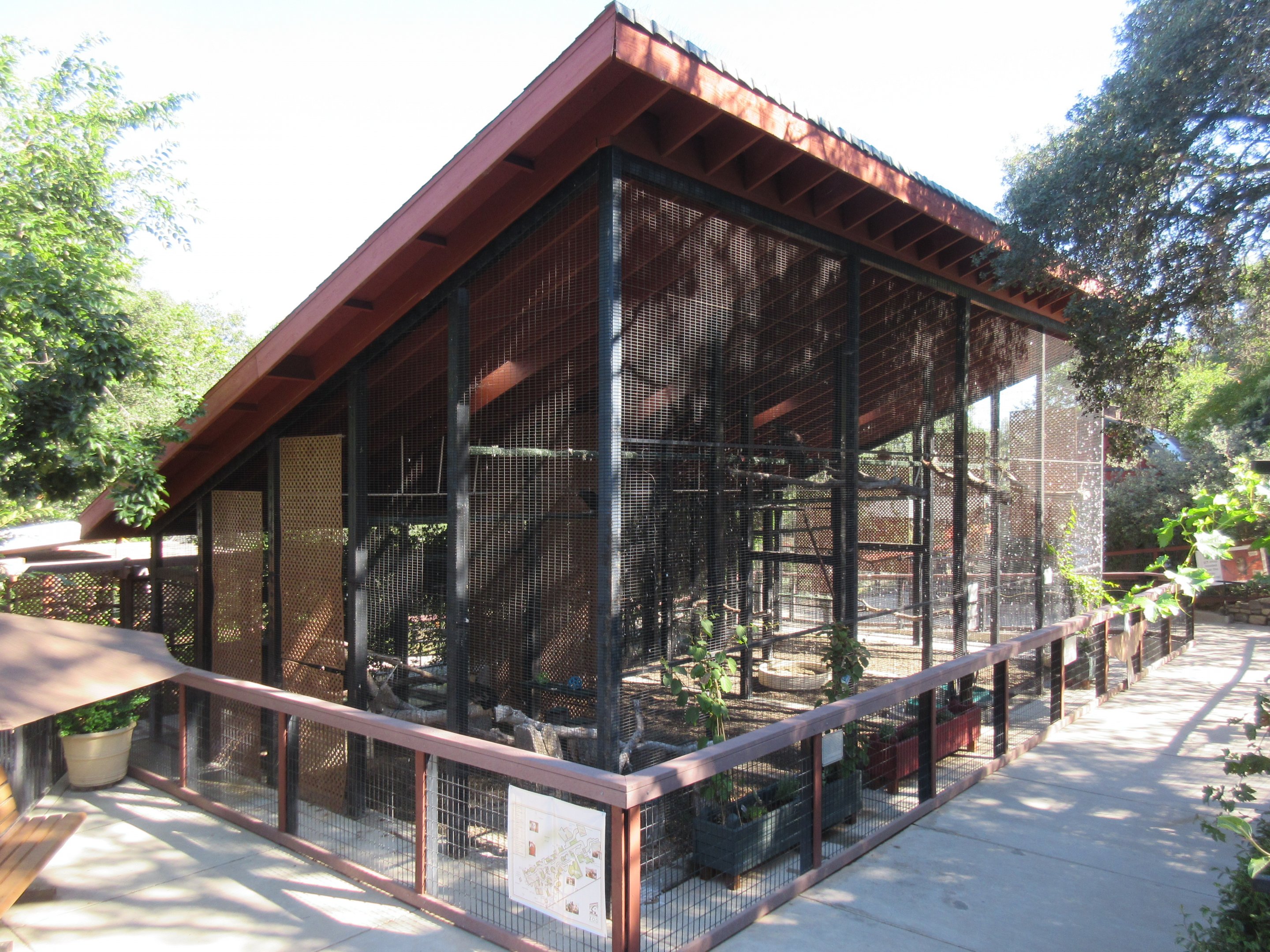 Turkey Vulture + Golden Eagle Exhibits