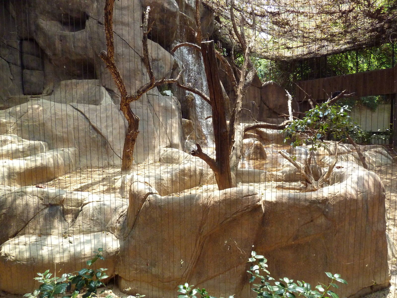 Turkey Vulture/Great Horned Owl/Barred Owl Exhibit