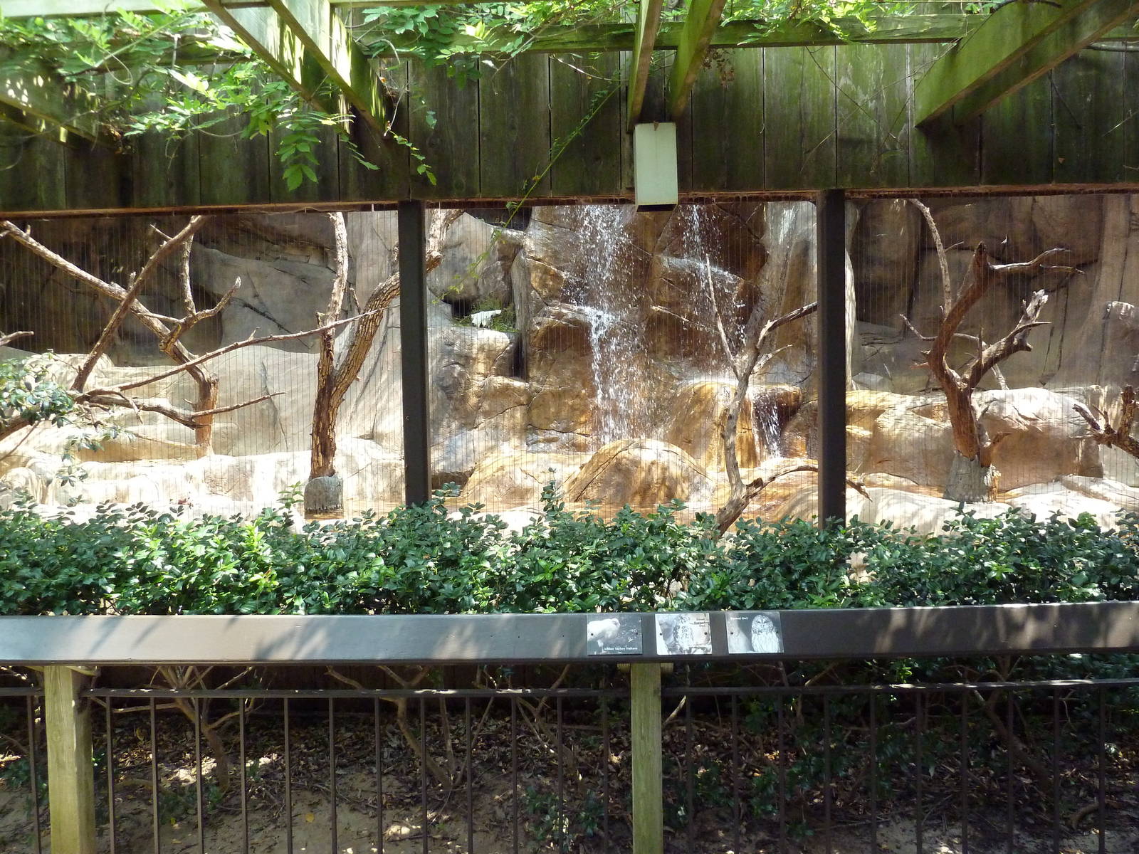 Turkey Vulture/Great Horned Owl/Barred Owl Exhibit