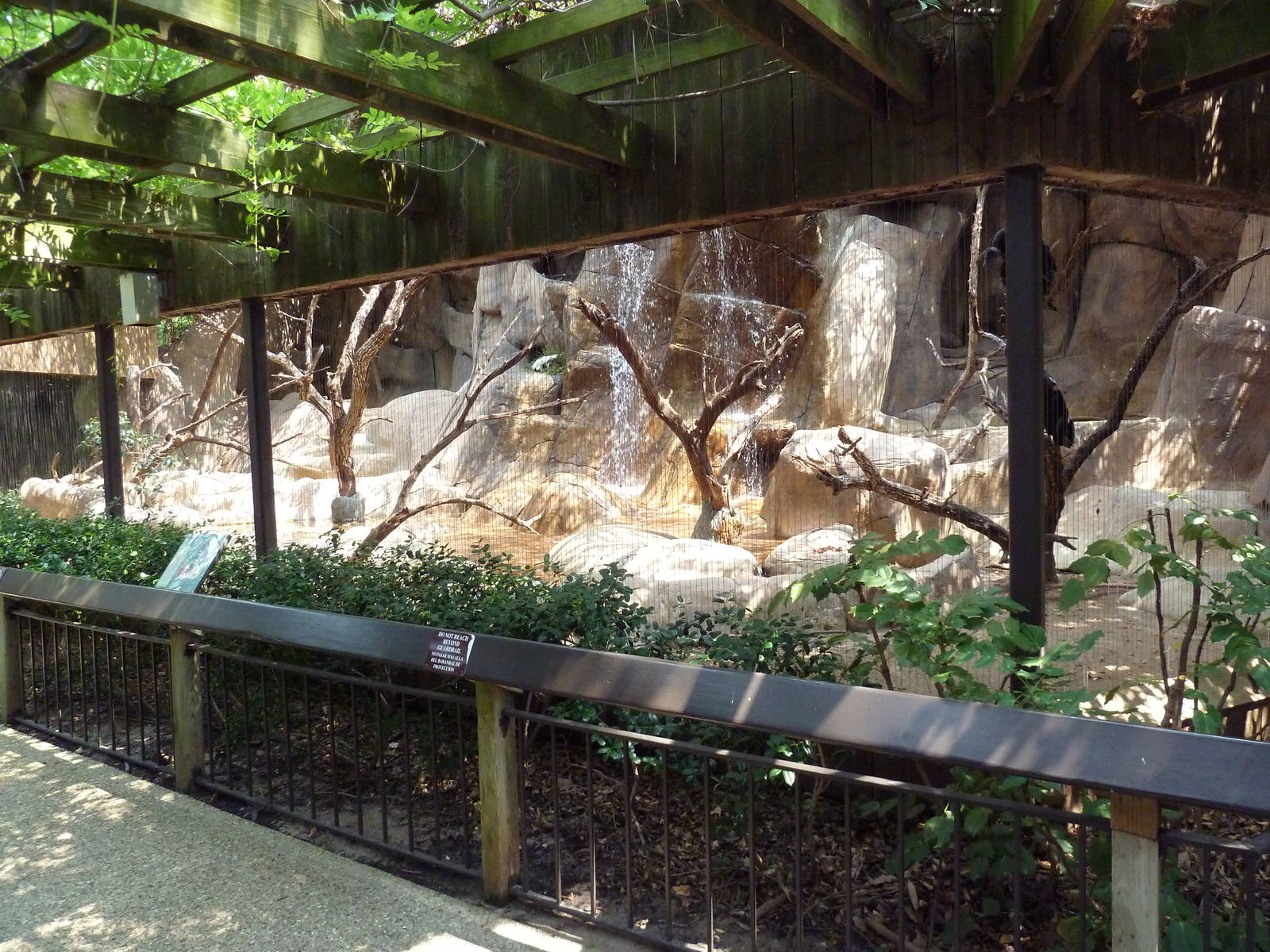 Turkey Vulture/Great Horned Owl/Barred Owl Exhibit