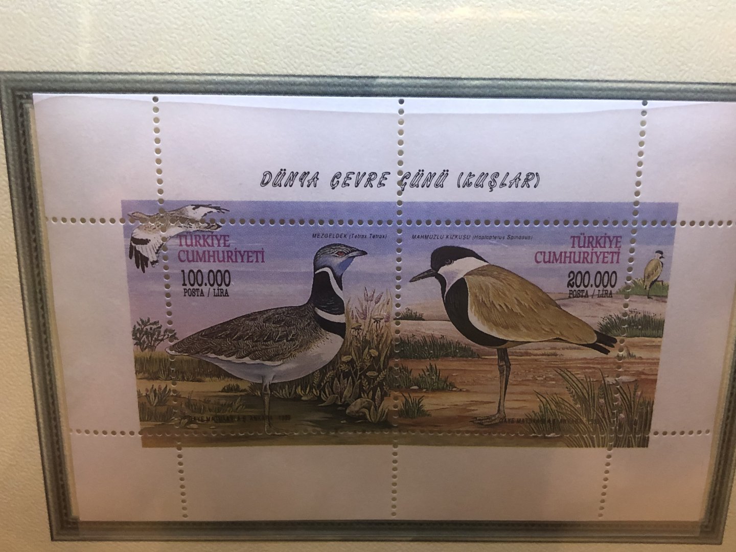 Turkish postal stamps