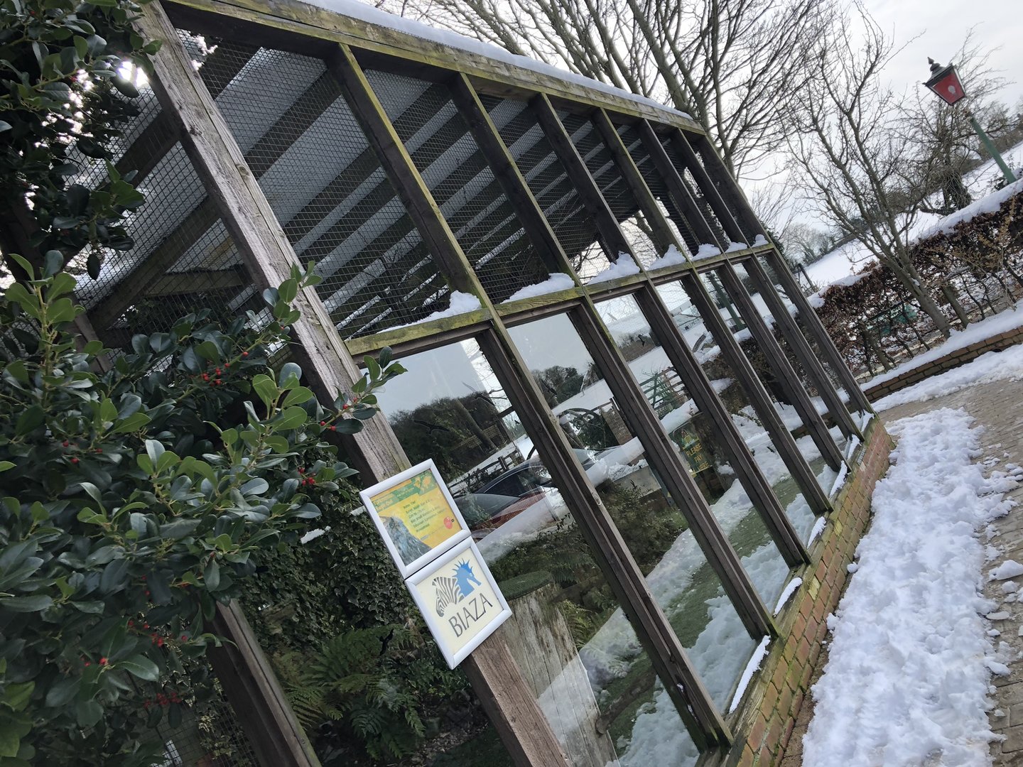 Turkmenian Eagle Owl Aviary at Tropical Butterfly House (March 2023)
