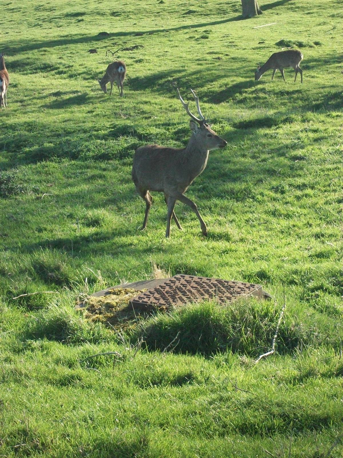 Turn back - that could be your plinth, 18th April 2014