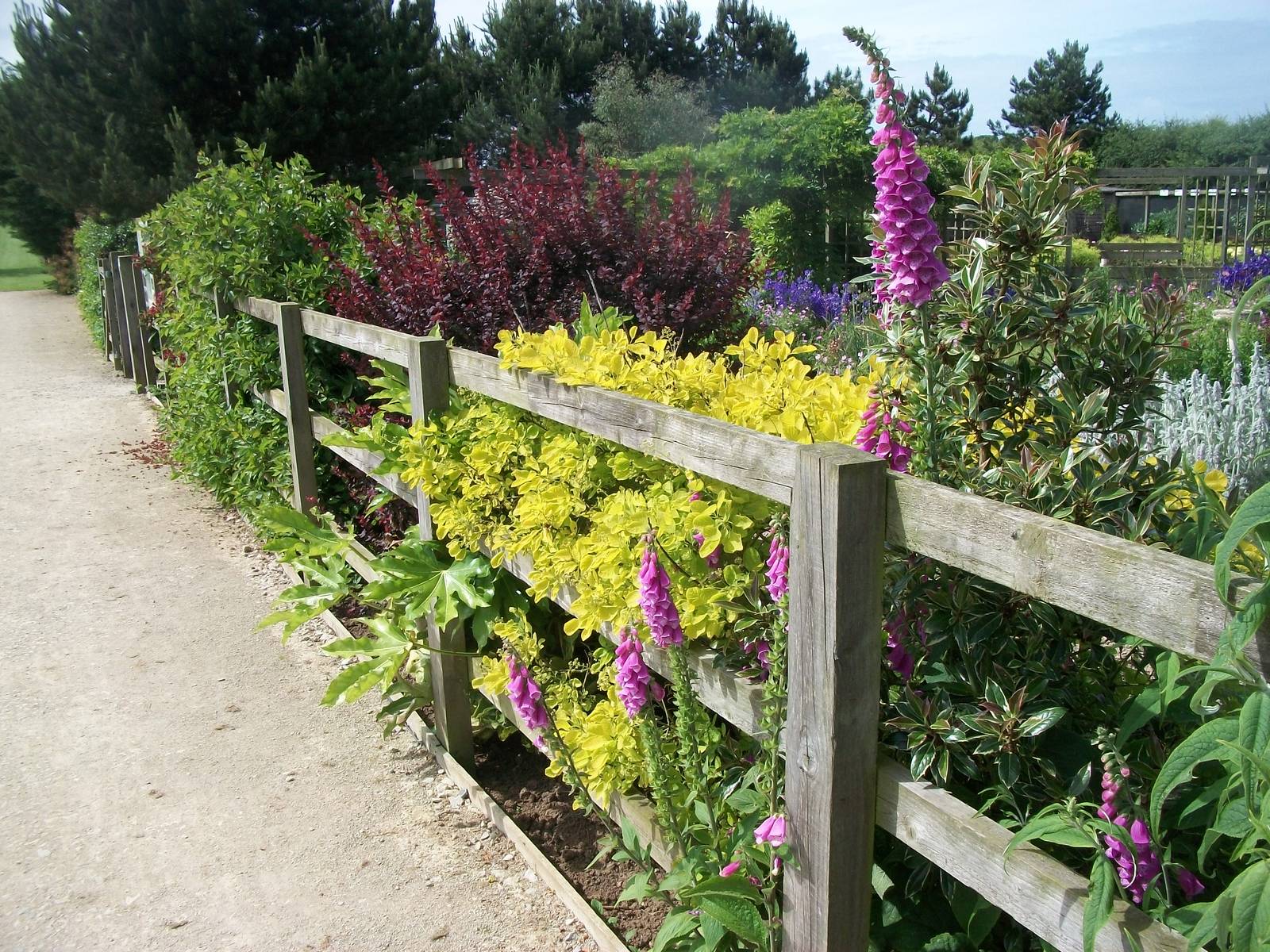 Turn right for the gardens, 19th June 2014