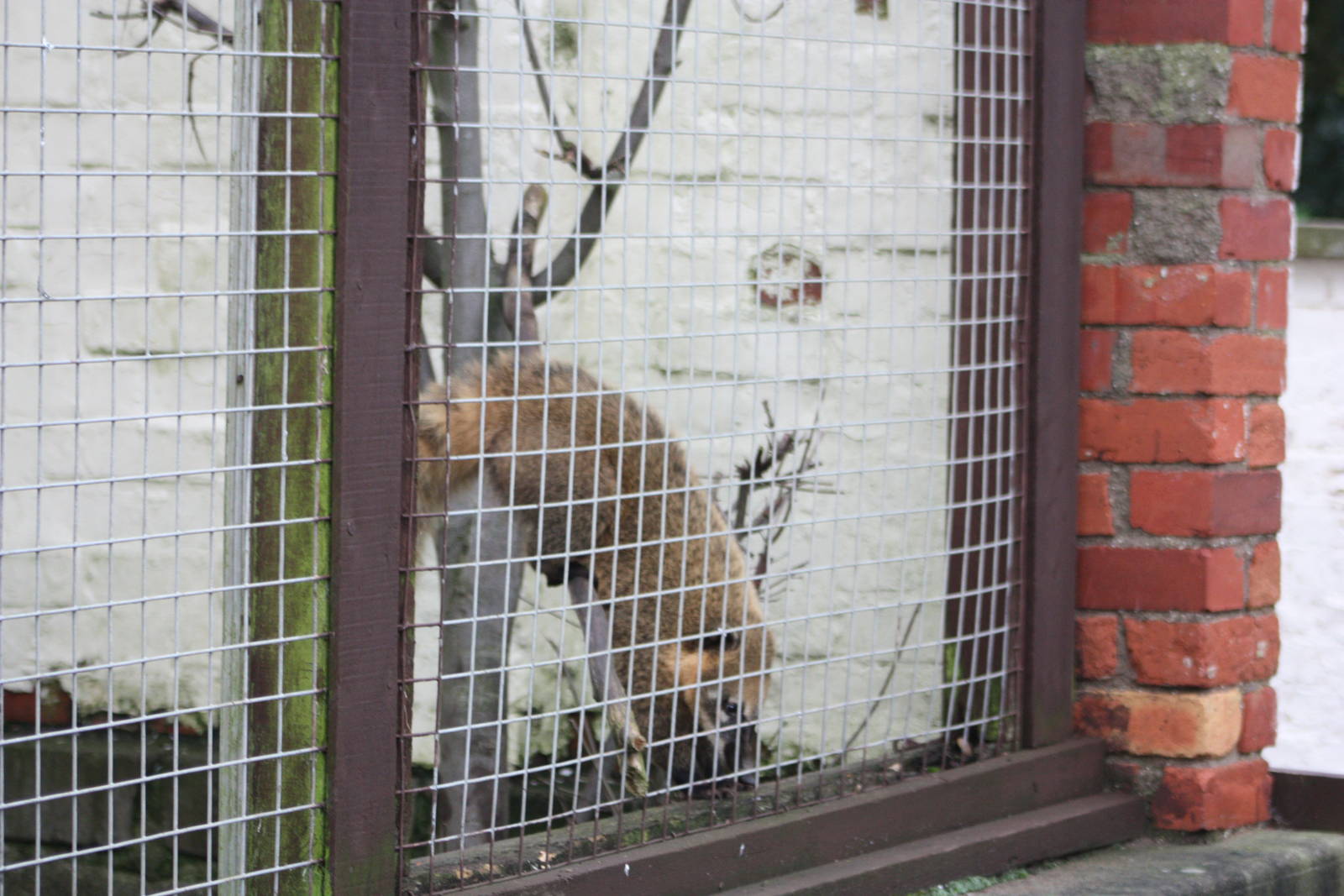 Turning back the clock, 23rd January 2016