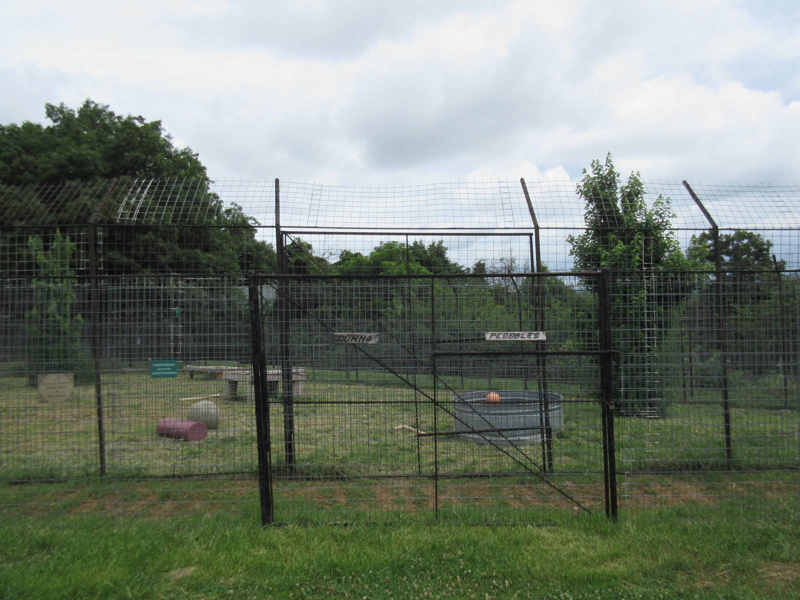 Turpentine Creek Wildlife Refuge (Arkansas) - Bengal Tiger Exhibit