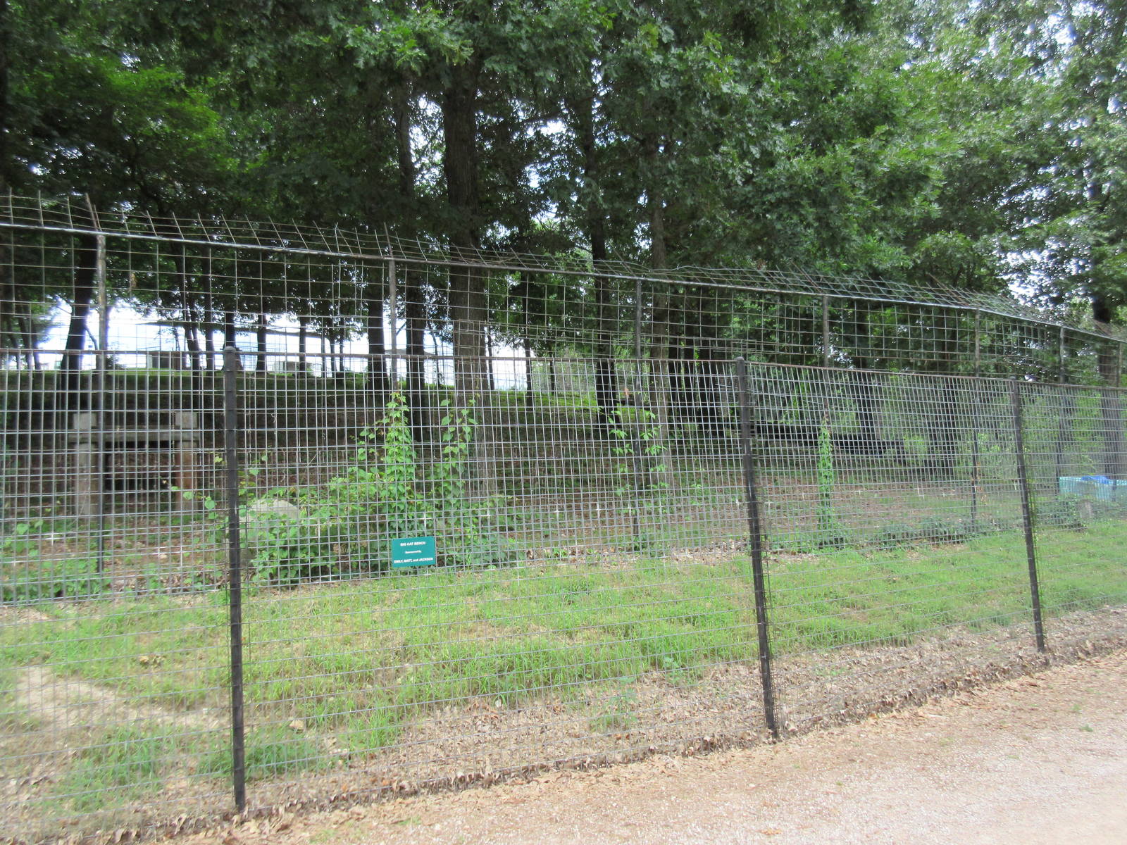 Turpentine Creek Wildlife Refuge (Arkansas) - Bengal Tiger Exhibit