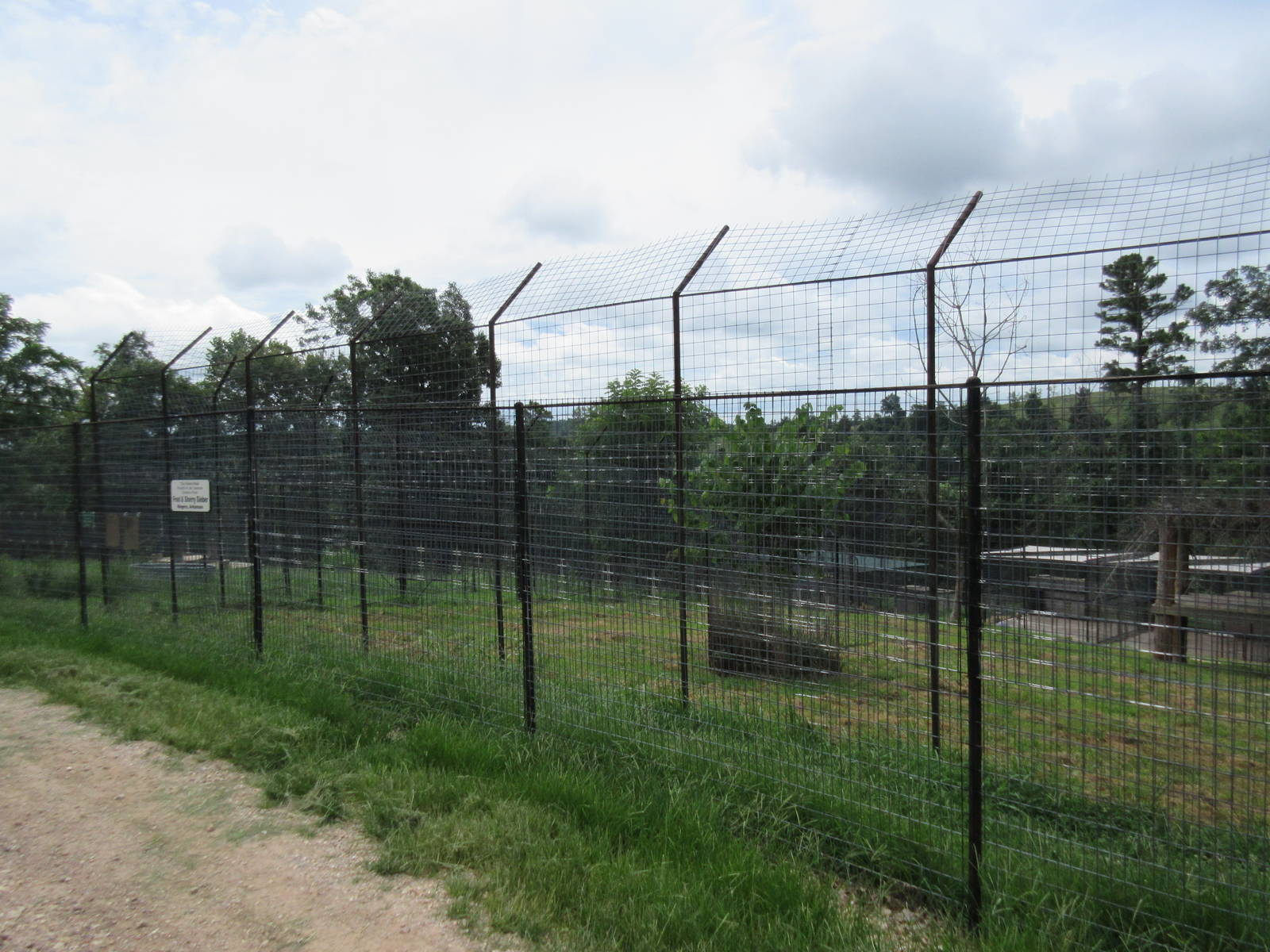 Turpentine Creek Wildlife Refuge (Arkansas) - Bengal Tiger Exhibit