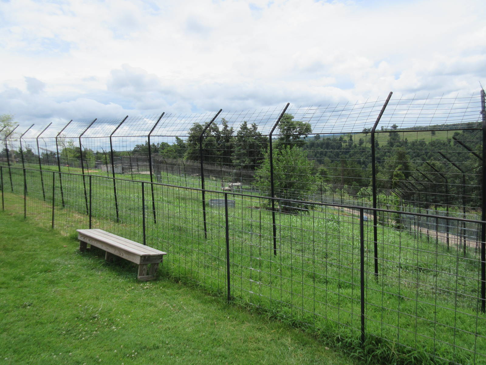 Turpentine Creek Wildlife Refuge (Arkansas) - Bengal Tiger Exhibit