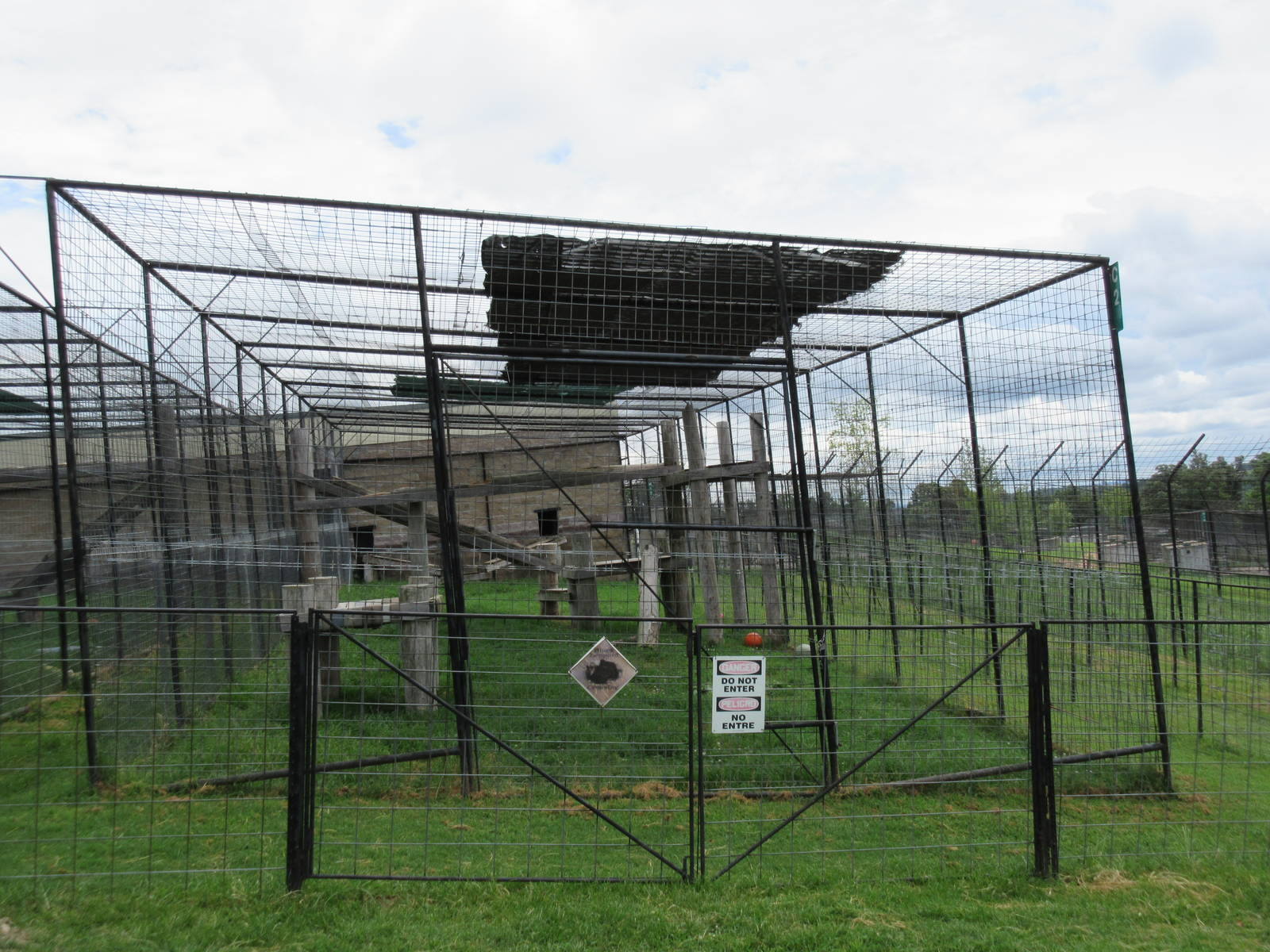 Turpentine Creek Wildlife Refuge (Arkansas) - Black Leopard Exhibit #1