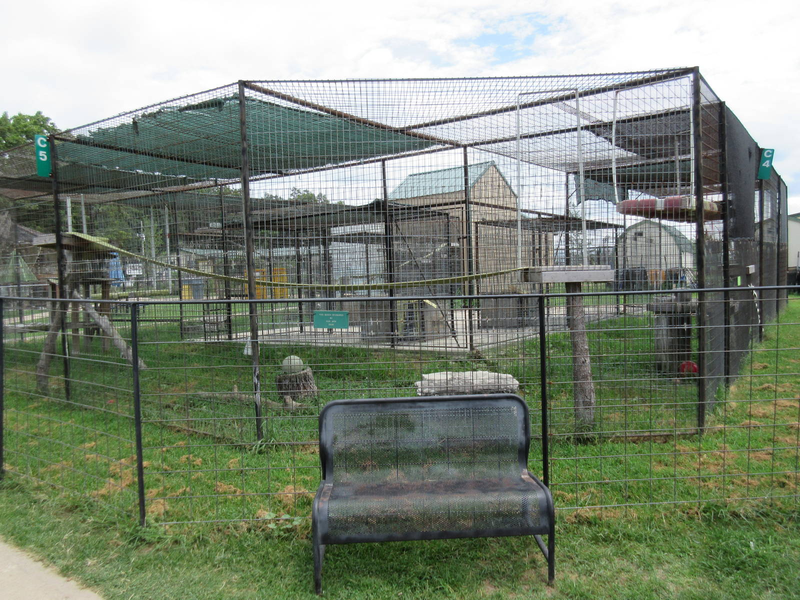 Turpentine Creek Wildlife Refuge (Arkansas) - Bobcat Exhibit