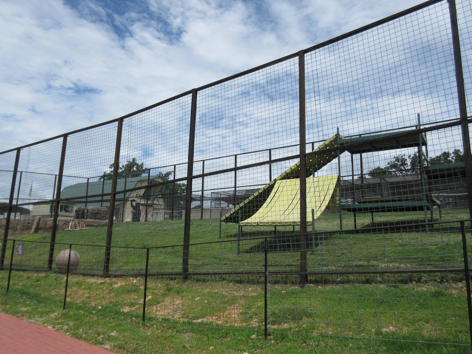 Turpentine Creek Wildlife Refuge (Arkansas) - Grizzly Bear Exhibit