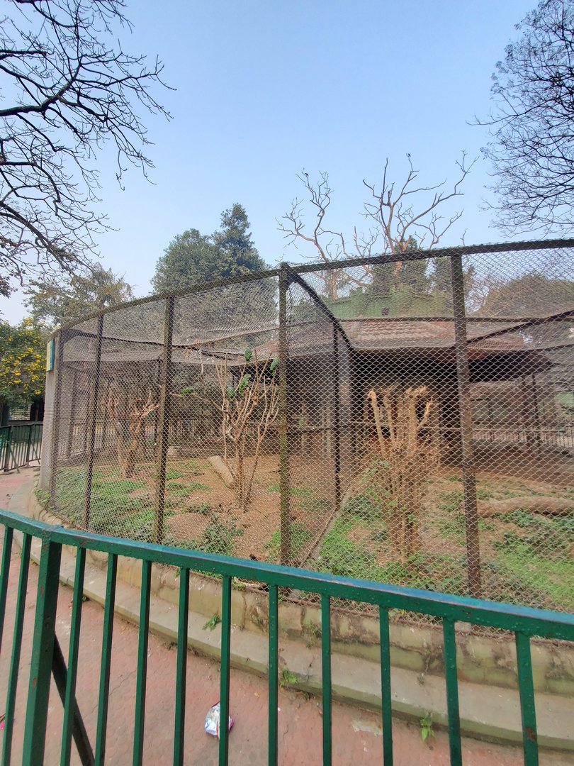 Turquoise Fronted Amazon Exhibit + Unknown Exhibit - January 2023