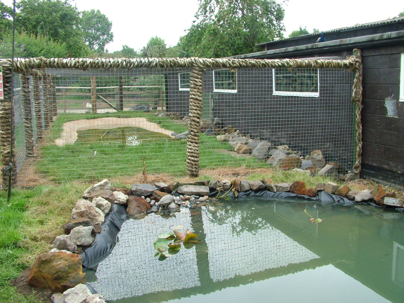 Turtle and Caiman Exhibits at Wingham WP, 31/07/10