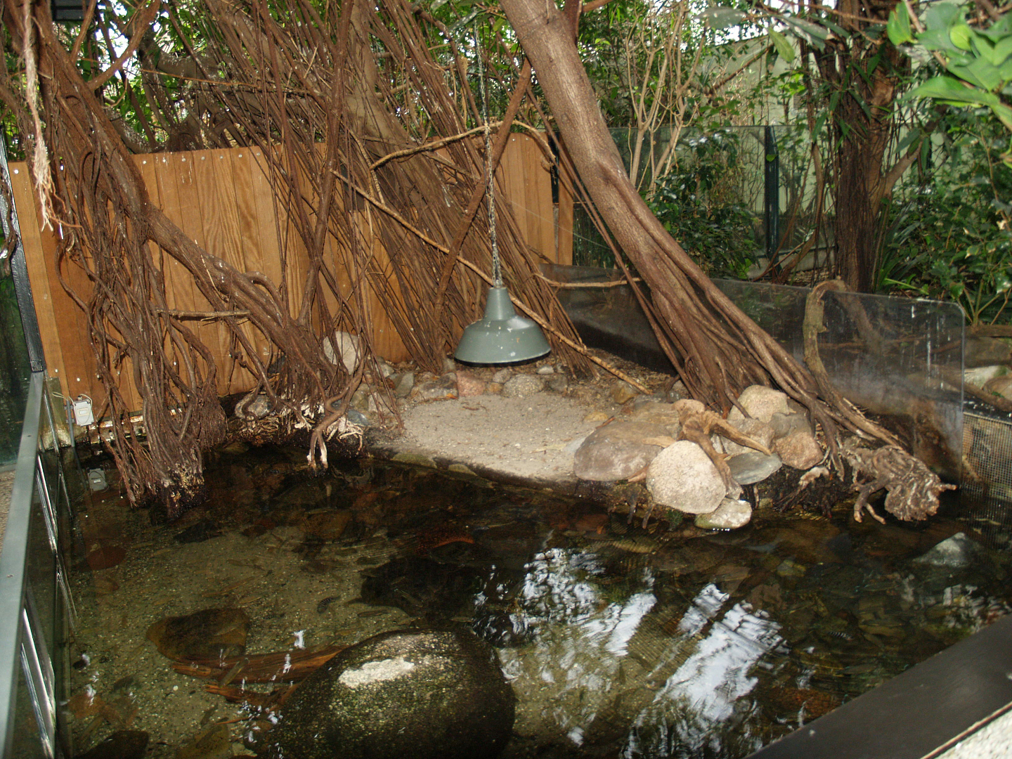 Turtle and fish exhibit in the Africa house, 2008-03-01