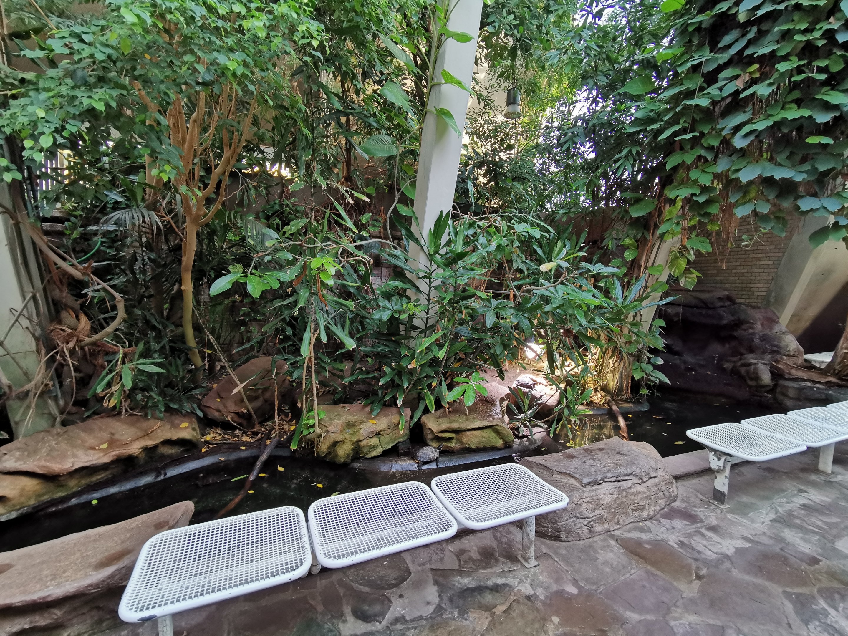 Turtle area and seating - Lemur house