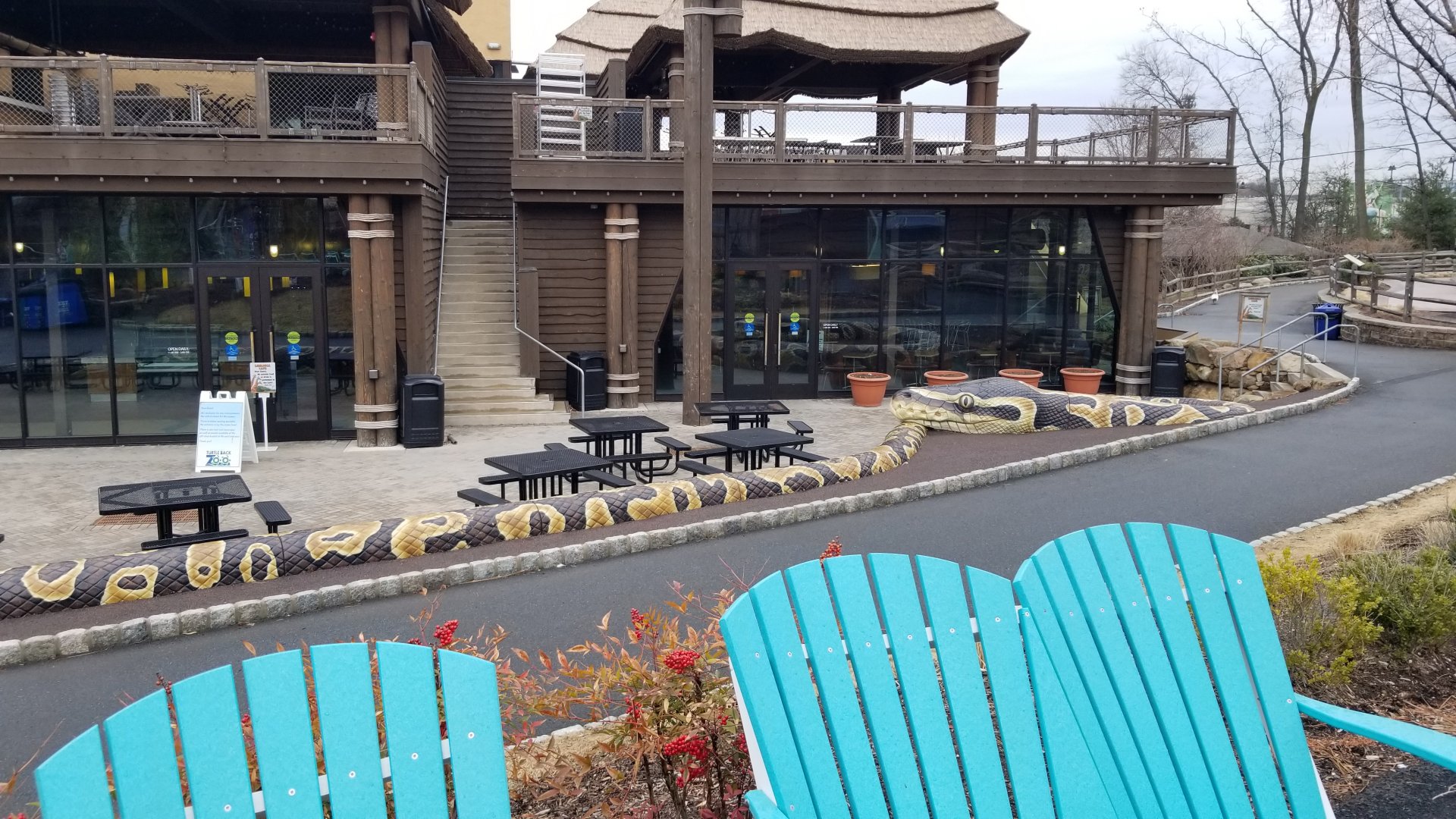 Turtle Back Zoo - climbing snake outside Cafe