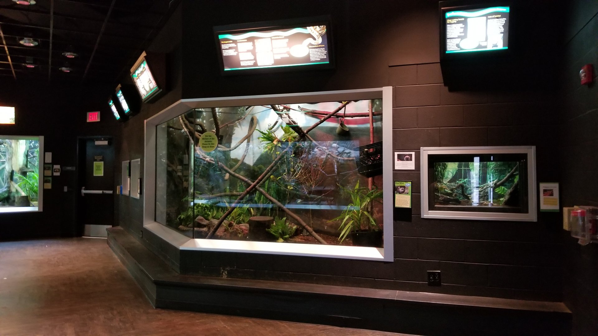 Turtle Back Zoo - Emperor Tamarins and Hoffman's sloth