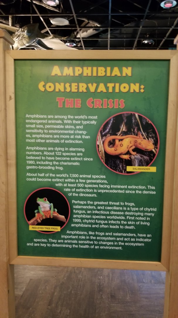 Turtle Back Zoo - example of large signs in reptile house