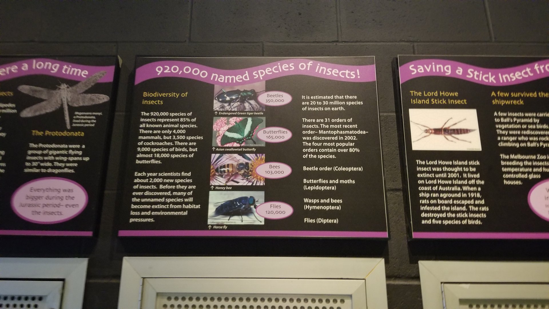 Turtle Back Zoo - example of signage in bug area