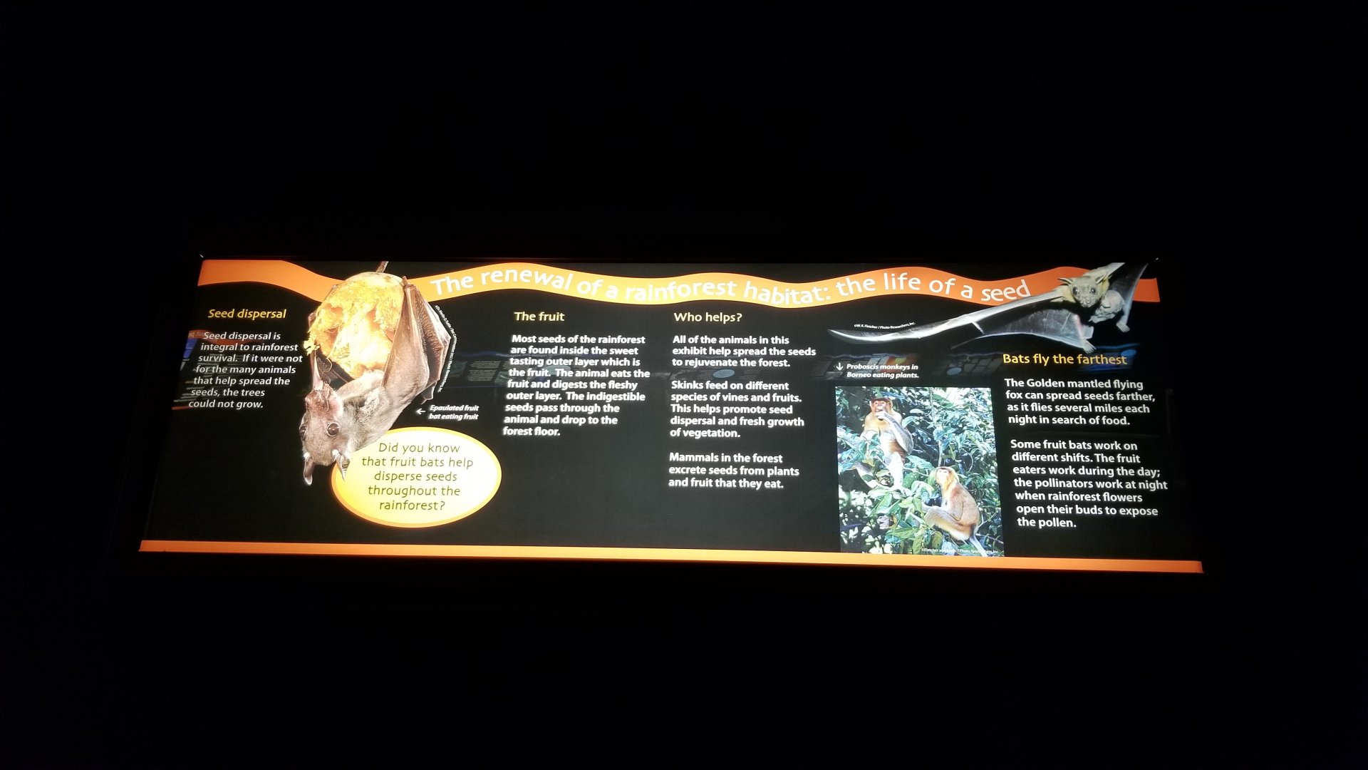 Turtle Back Zoo - example of signs in reptile house