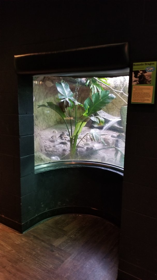 Turtle Back Zoo - Komodo dragon inset window