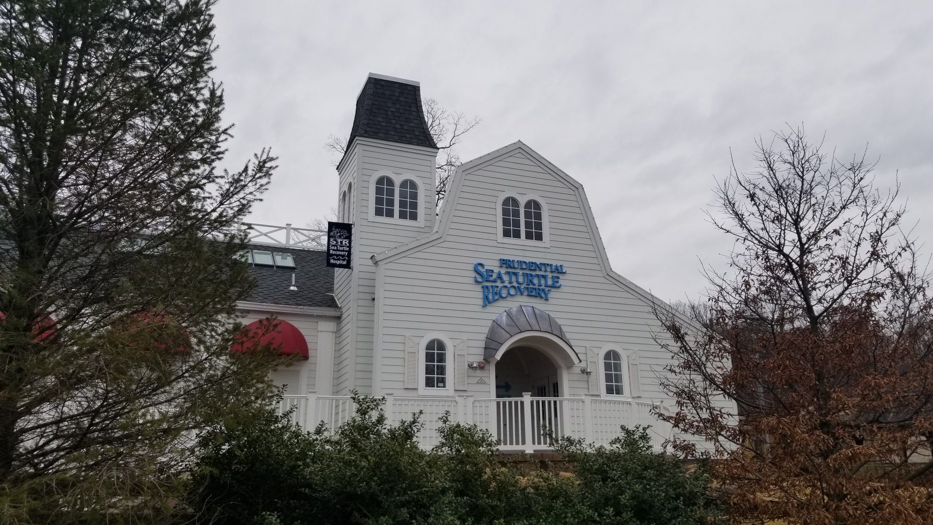 Turtle Back Zoo - Outside of Sea Turtle rescue building
