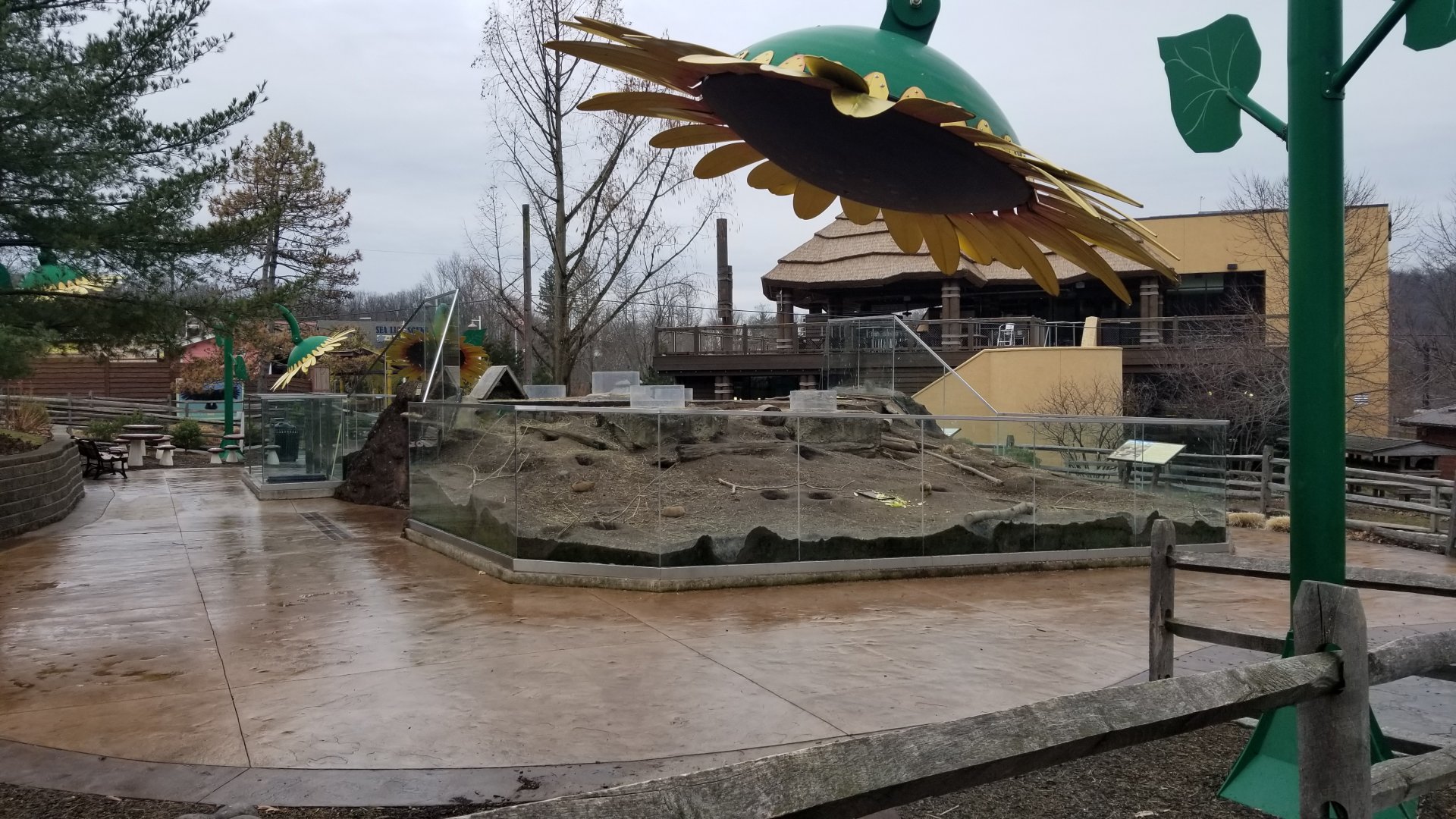 Turtle Back Zoo - Prairie dogs