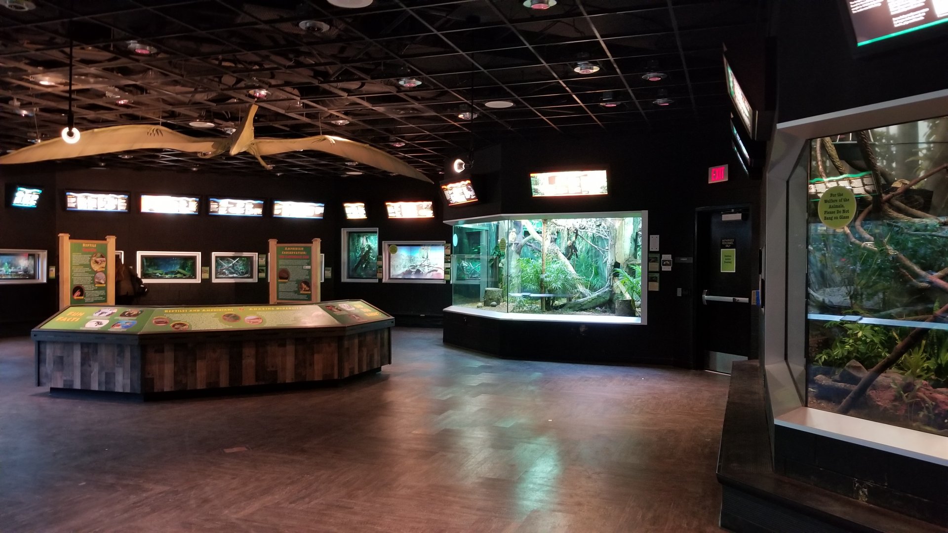 Turtle Back Zoo - Reptile house