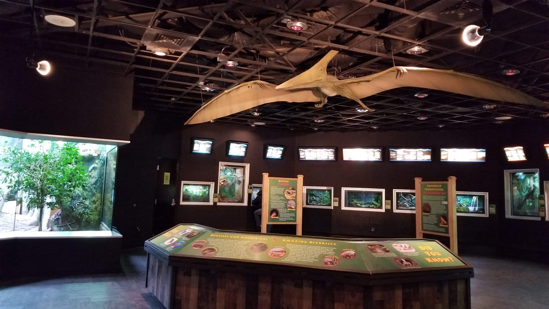 Turtle Back Zoo - Reptile house