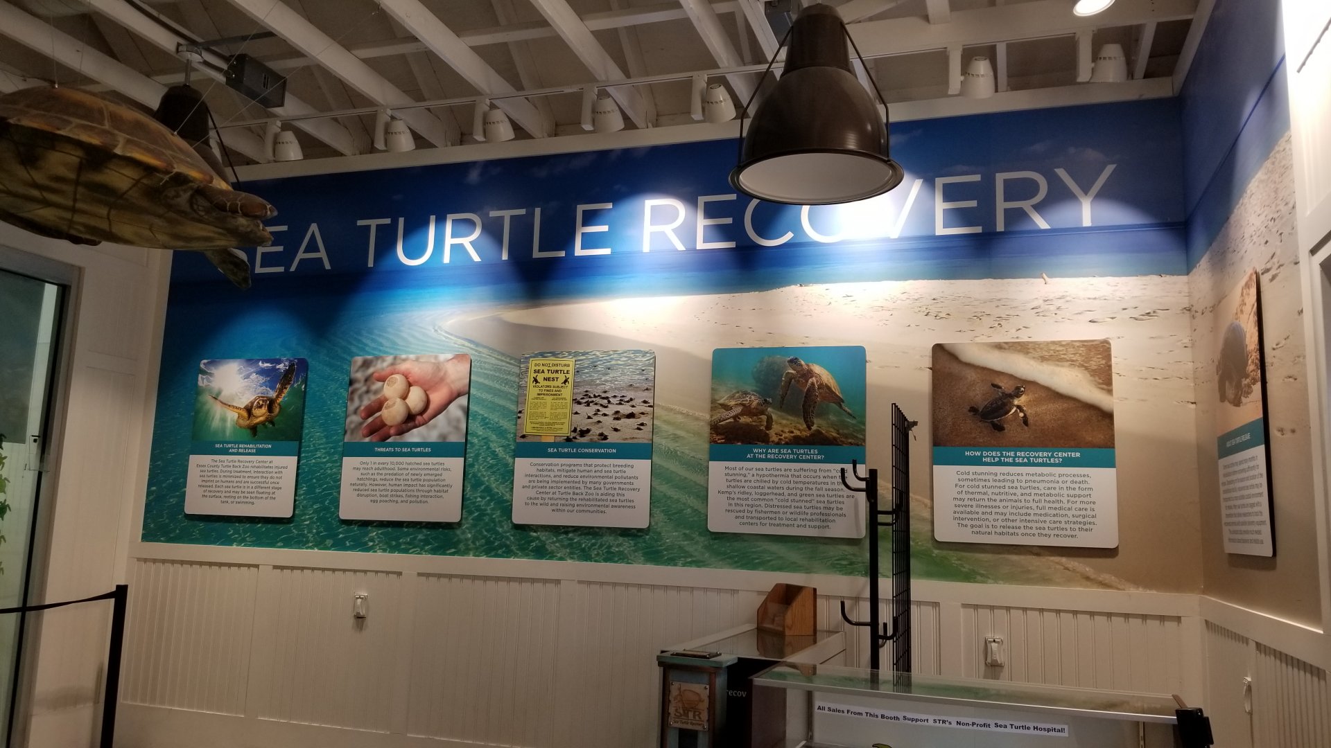 Turtle Back Zoo - Sea turtle signs