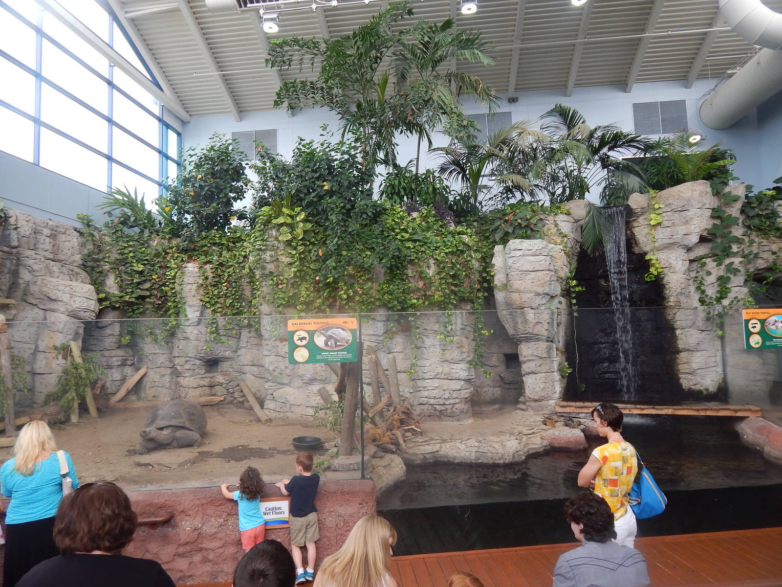 Turtle Canyon - New 2014! - Galapagos Tortoise + Fly River Turtle Exhibit