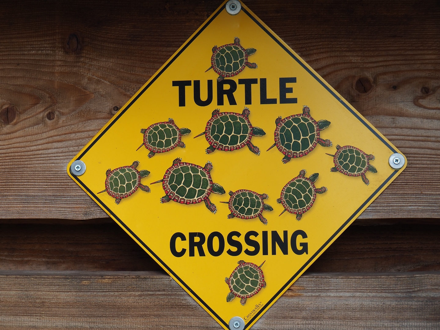 Turtle crossing sign - On exhibit housing tortoises, 2019-04-06