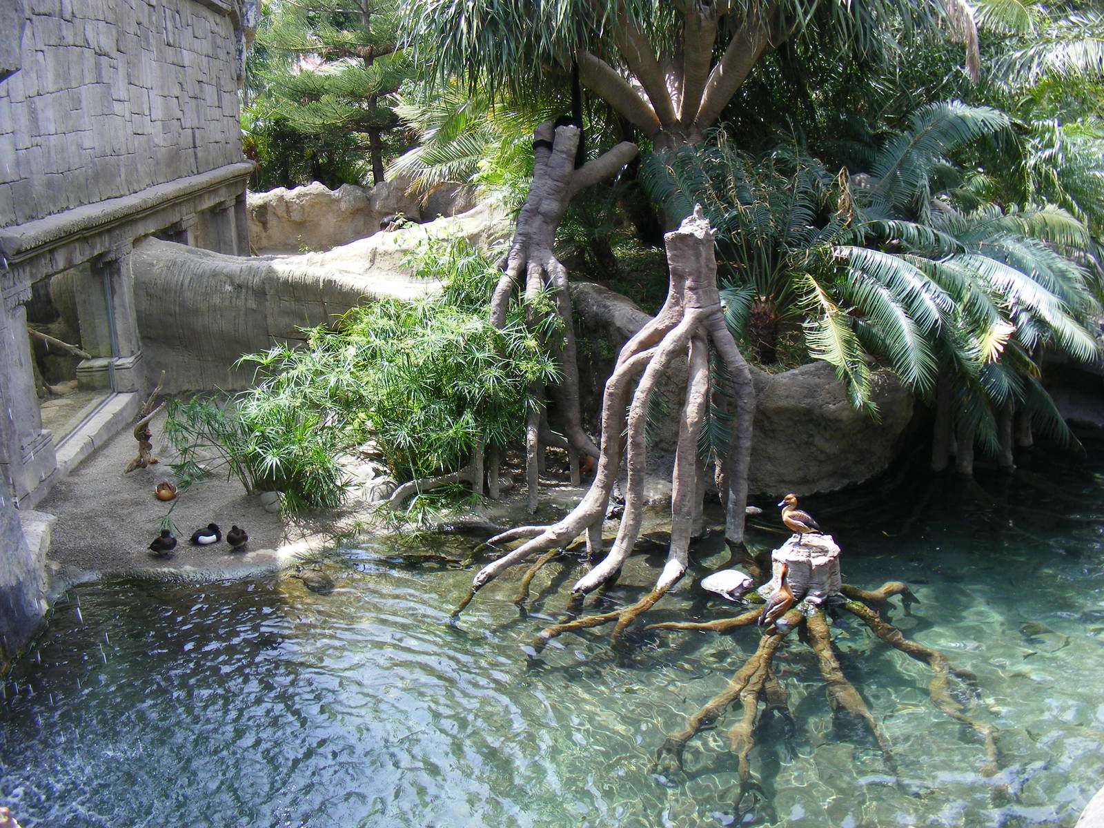 Turtle enclosure at Fuengirola Zoo, 30 April 2009