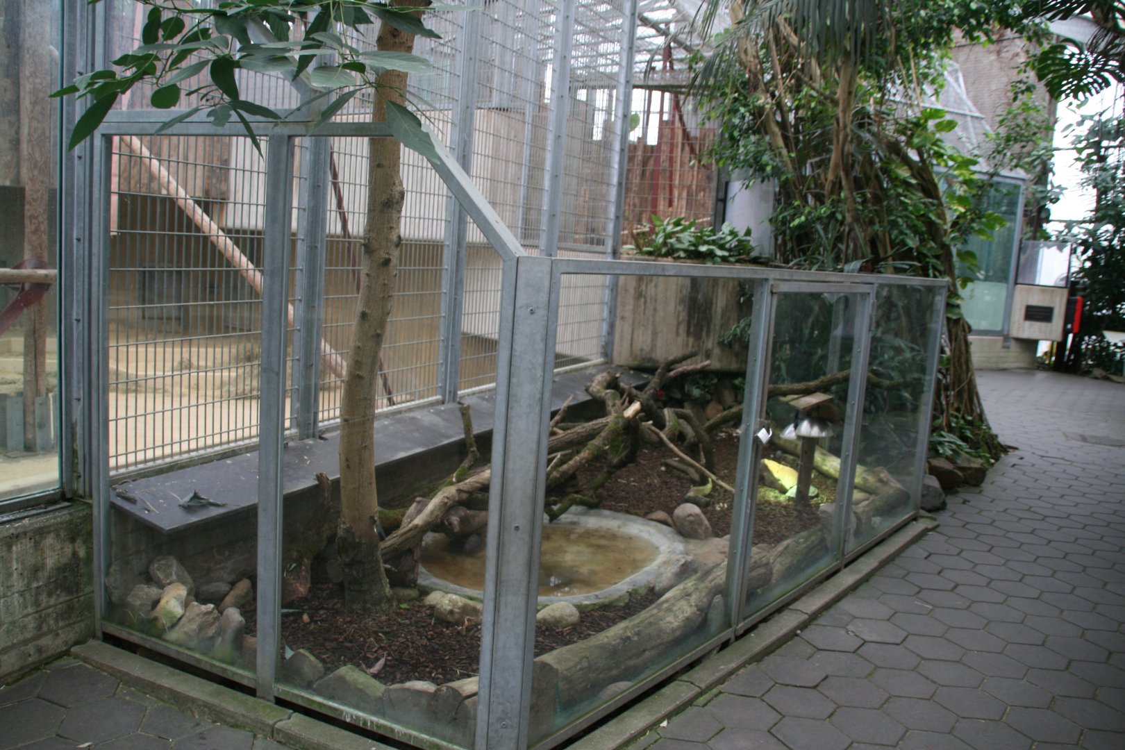 turtle enclosure next to one of the indoor orangutan enclosures